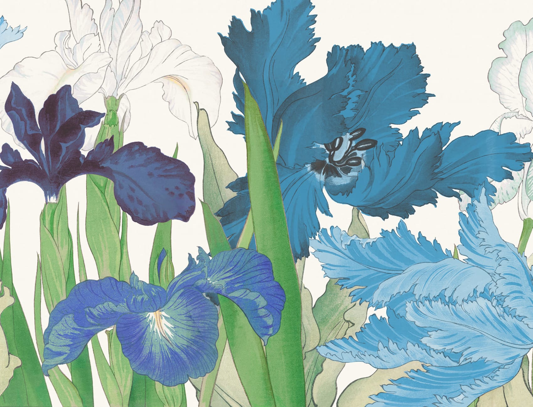 Tanigami Parrot Tulip & Iris Blue Wallpaper Mural