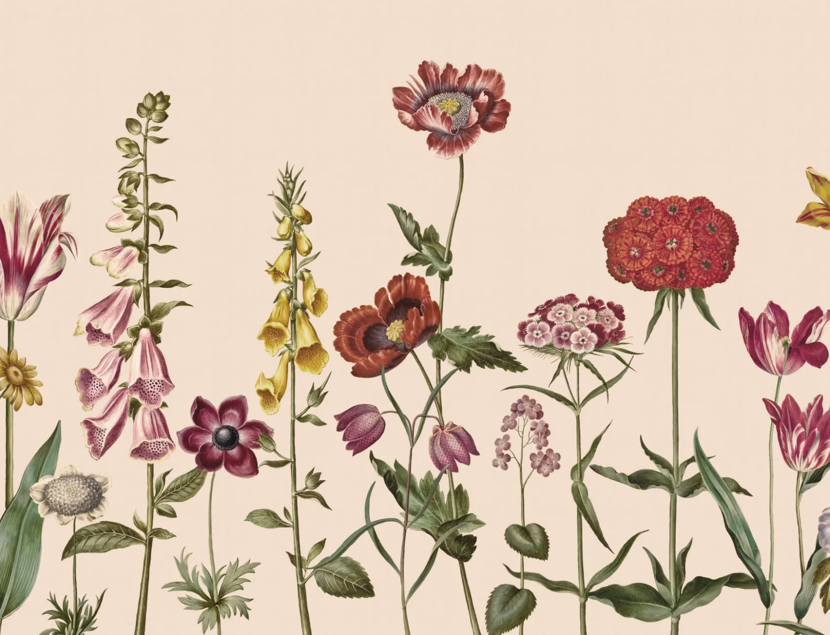 Mural ilustrado de flores silvestres en beige