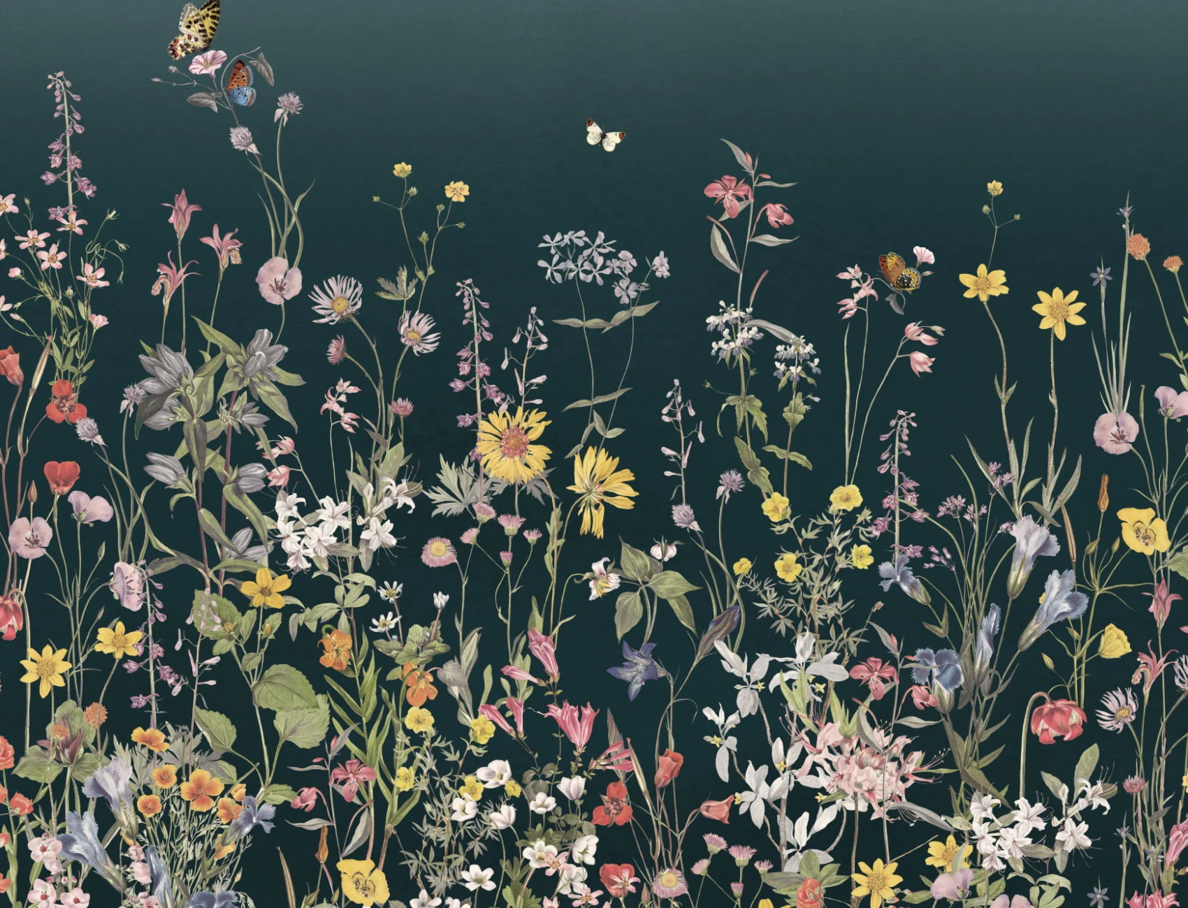 Mørkeblåt Ombre fototapet med vilde blomster og sommerfugle