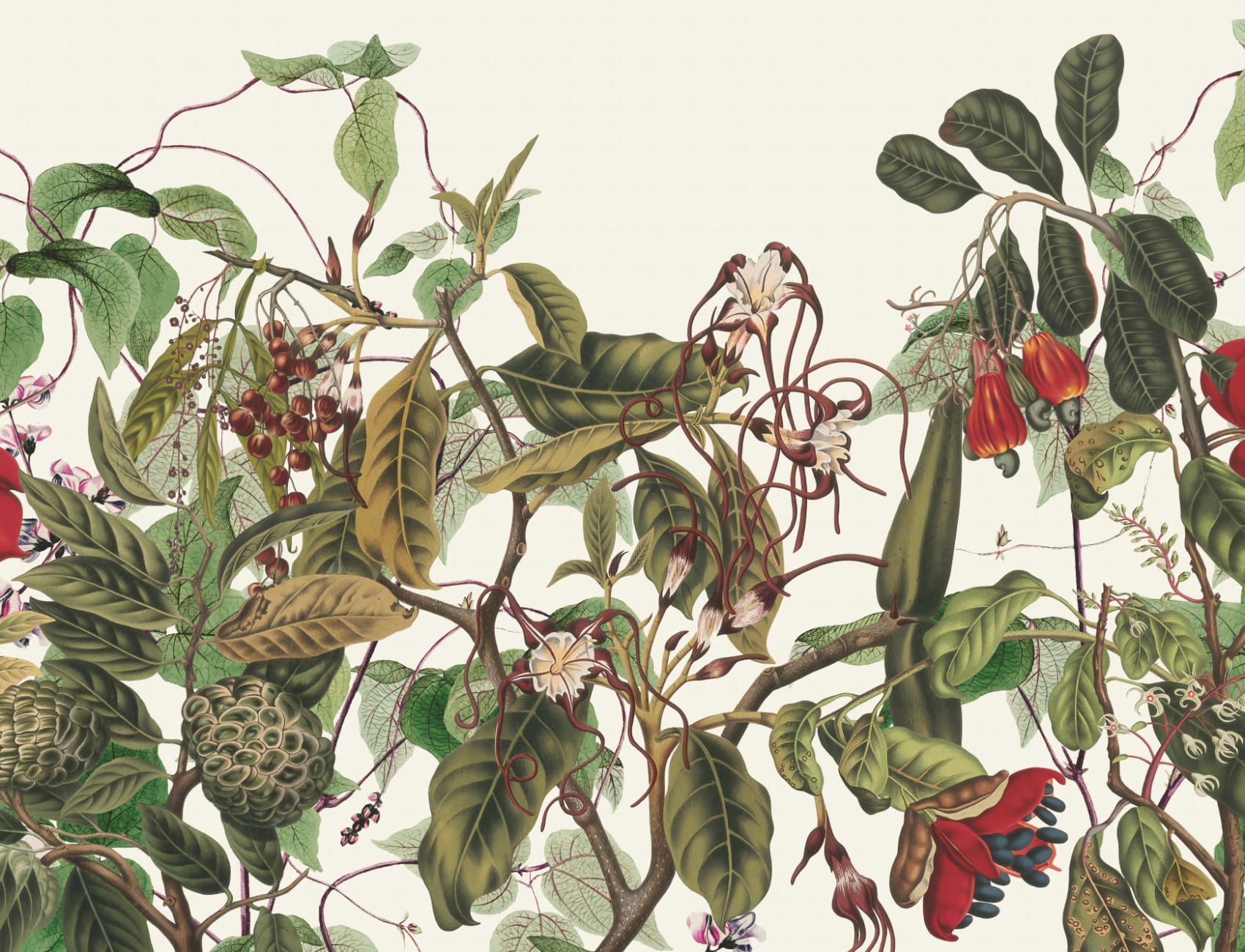 Weelderige botanische muurschildering met tropische bloemen en bladeren in kleur