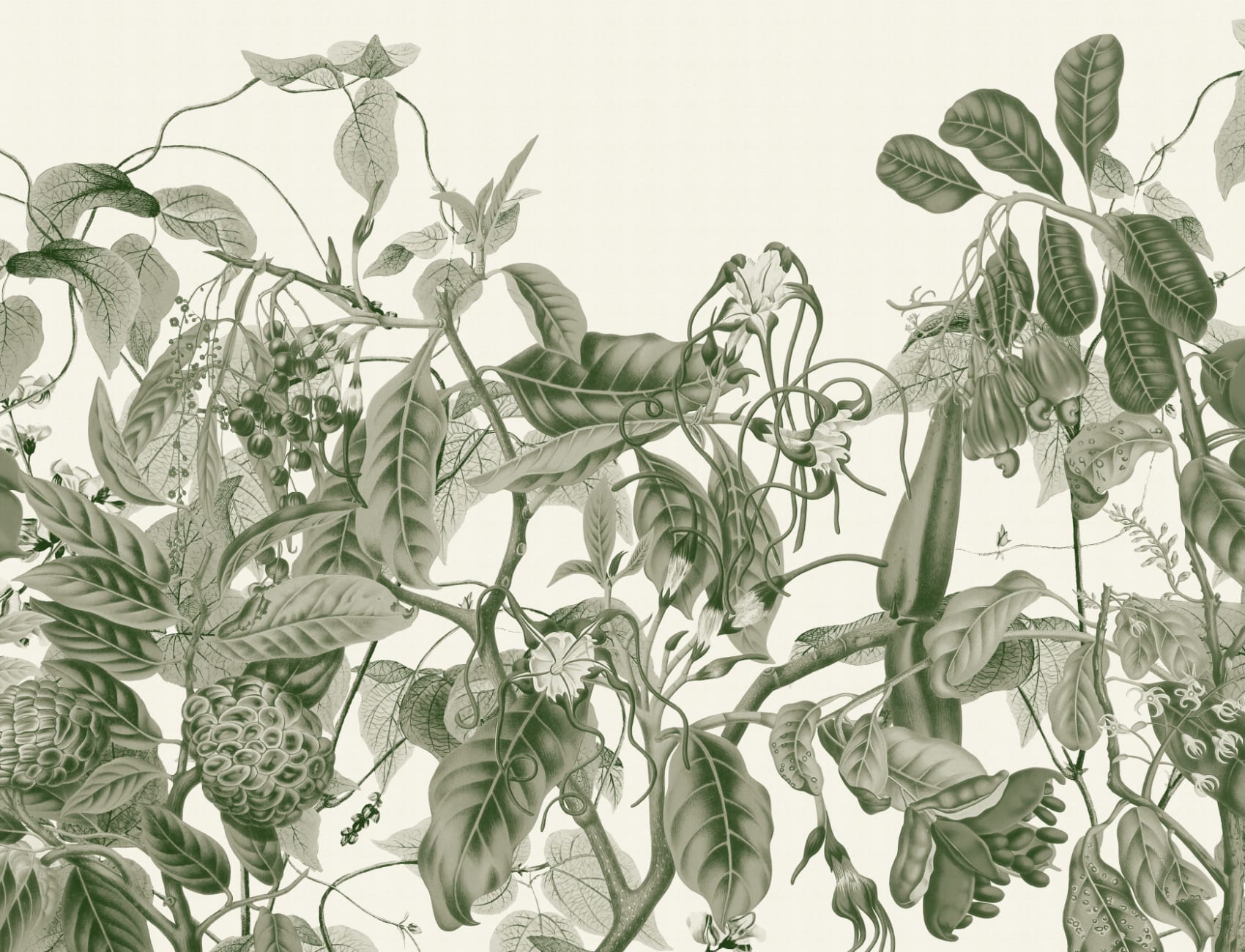Lush Vintage Botanical Wall Mural in Green with Detailed Tropical Plant Illustrations