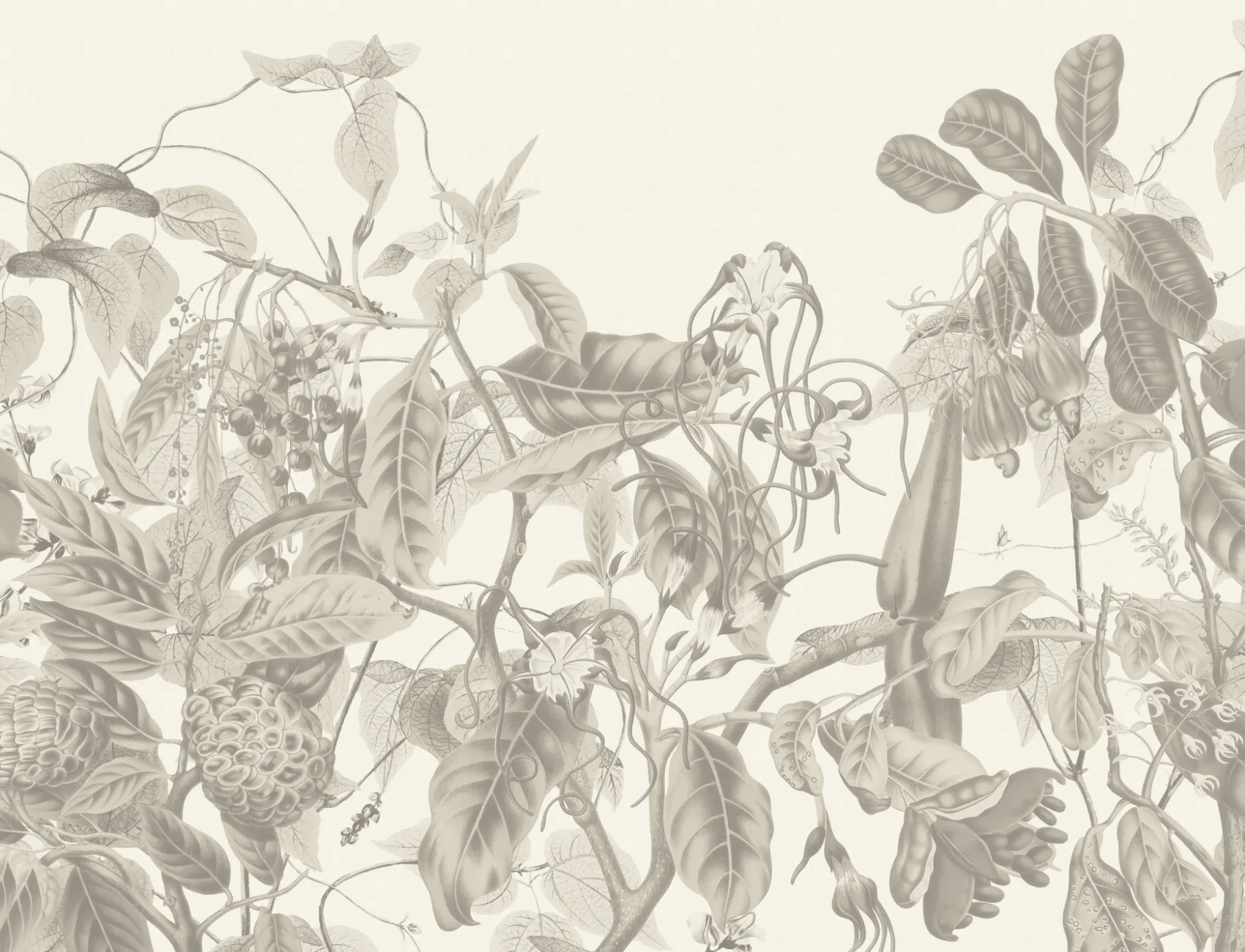 Üppige botanische Fototapete in Grau mit tropischen Blumen und blattartigen Ranken