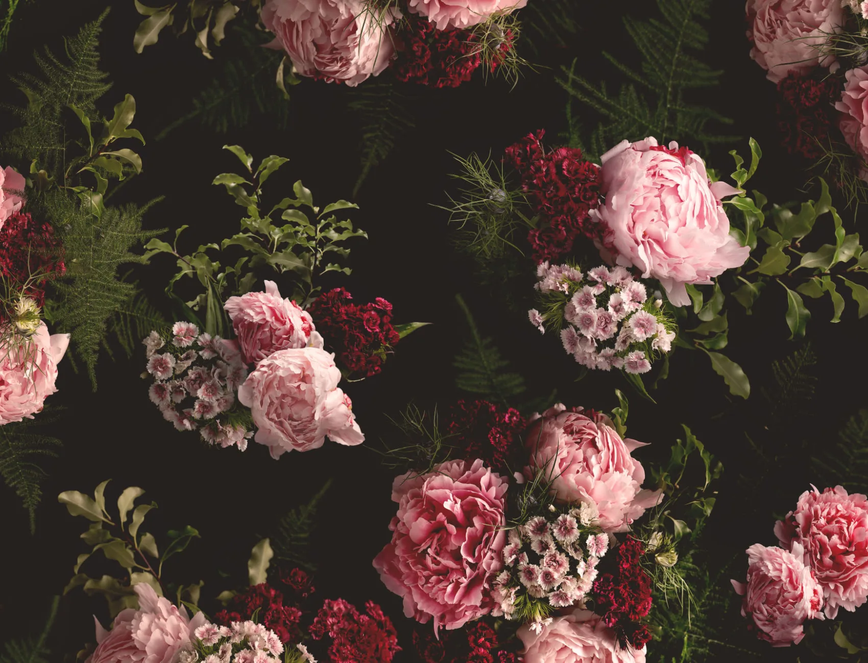 Pink & Black Dark Moody Floral Pattern Wallpaper Mural