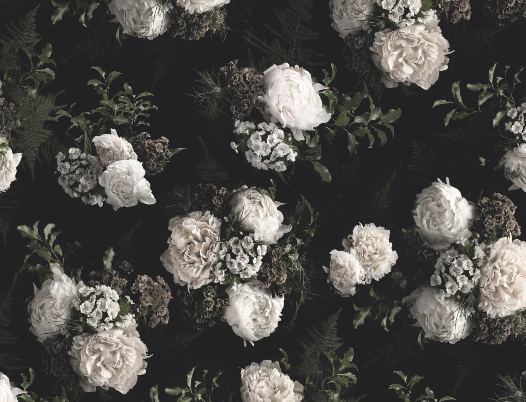 Black & White Dark Moody Floral Pattern Wallpaper Mural