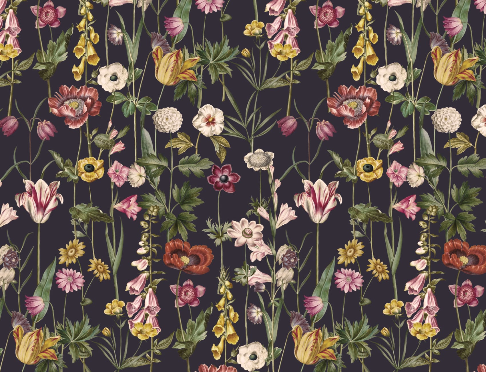 Dark Illustrated Wildflower Wallpaper