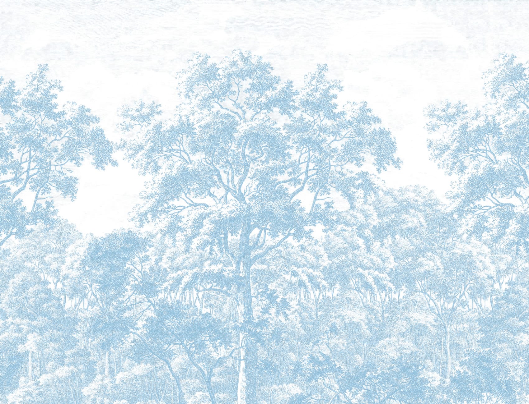 Blue Forest ilustrare gravură Wallpaper Mural
