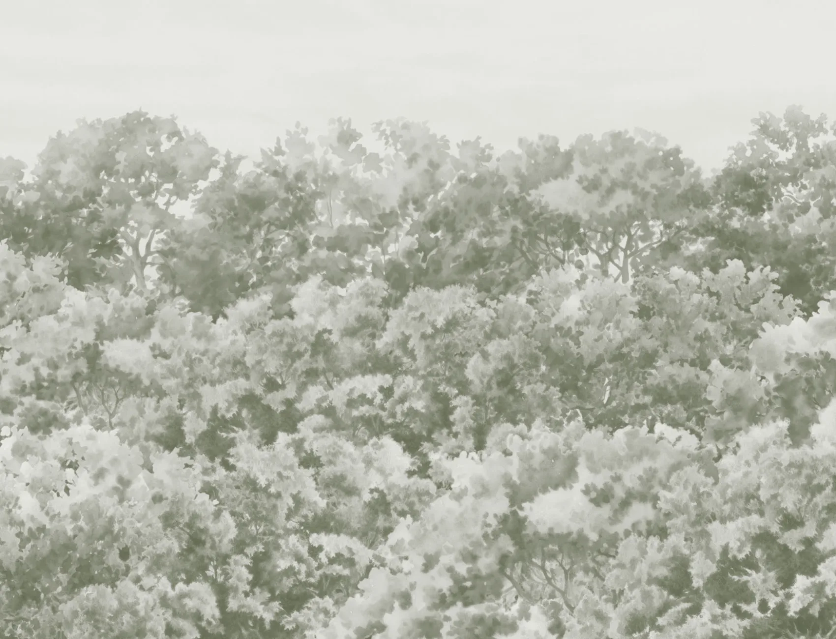 Sage Green Buttonwood Trees Forest Wall Mural