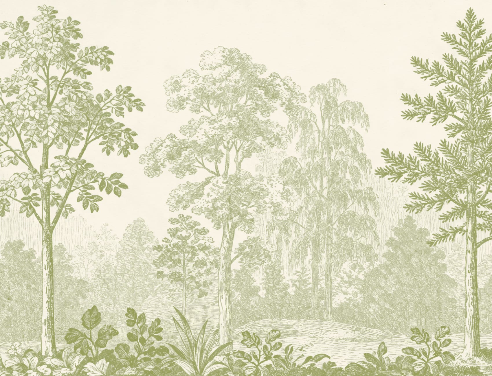 Carta da parati verde botanica della foresta, natura vintage