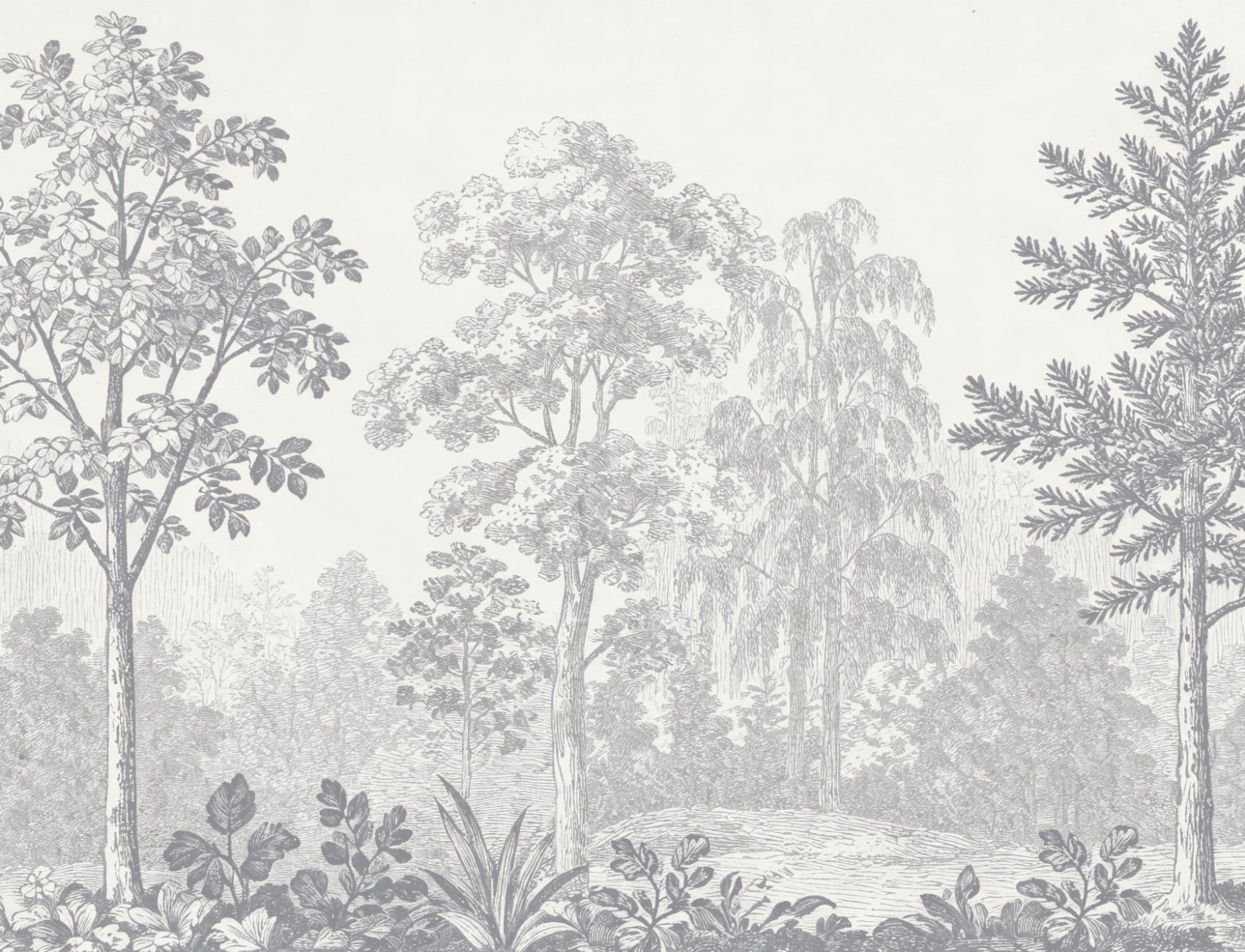Grå botanisk skoglandskap natur fototapet