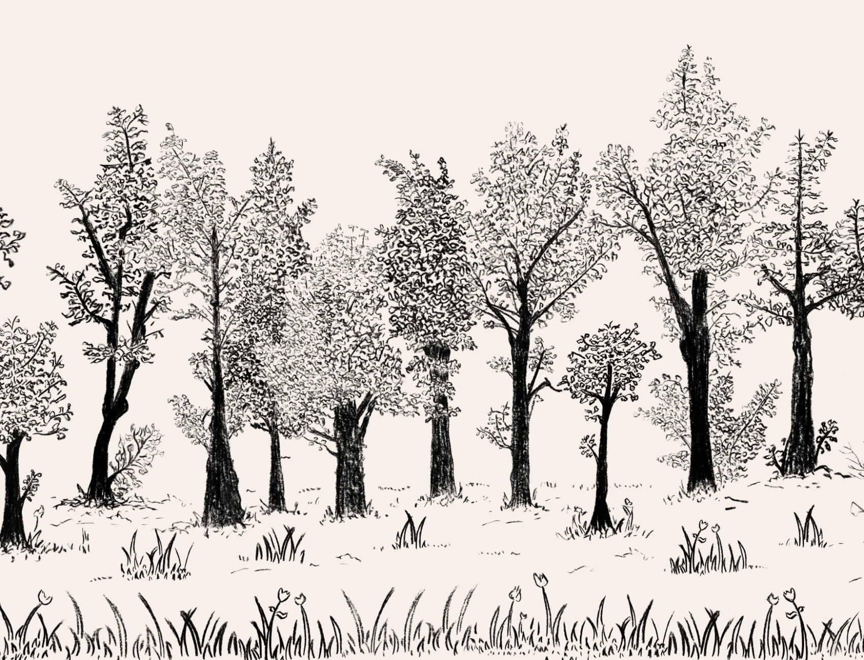 Papel pintado de bosque tradicional europeo ilustrado en negro