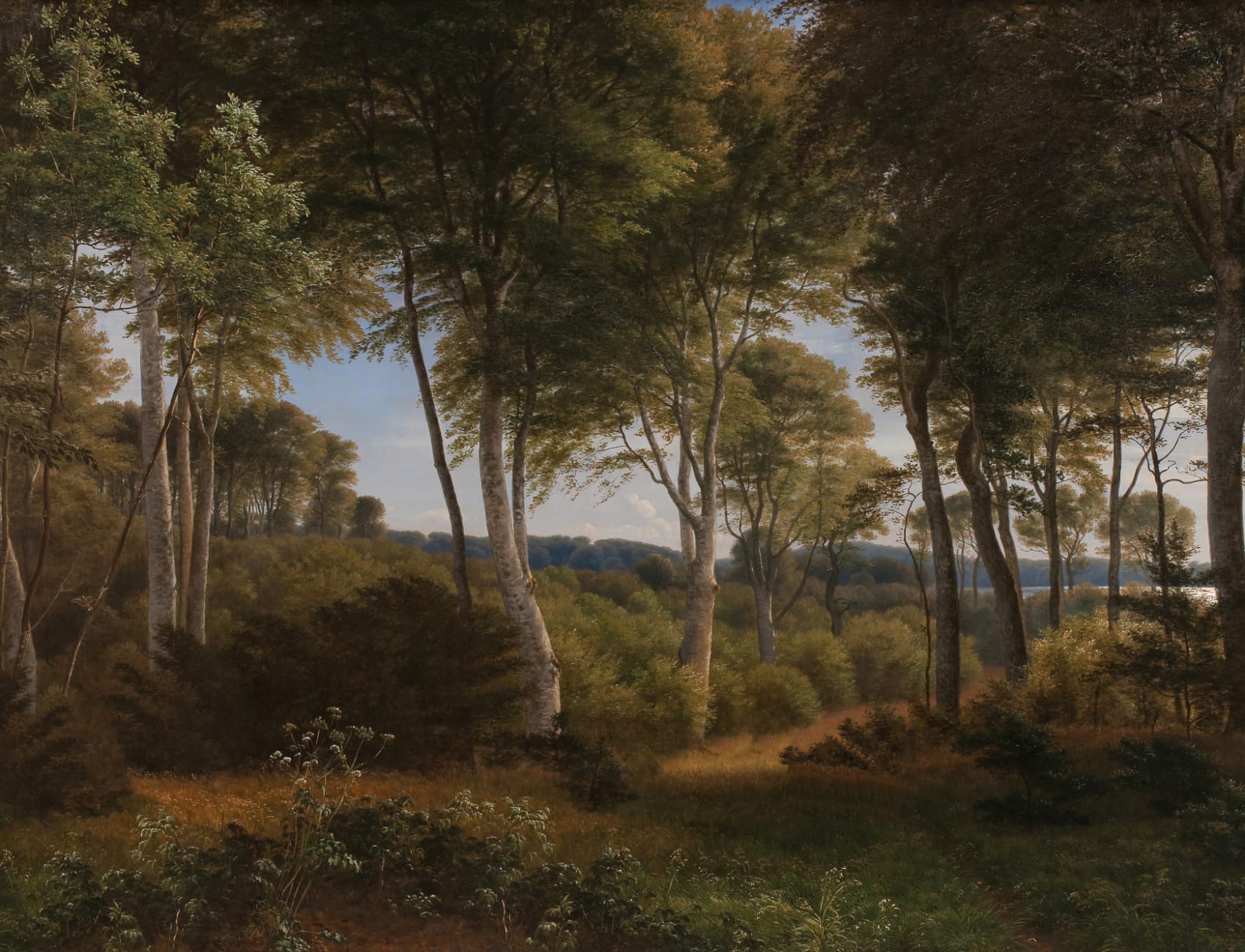 Dark Forest Landscape Painting Mural
