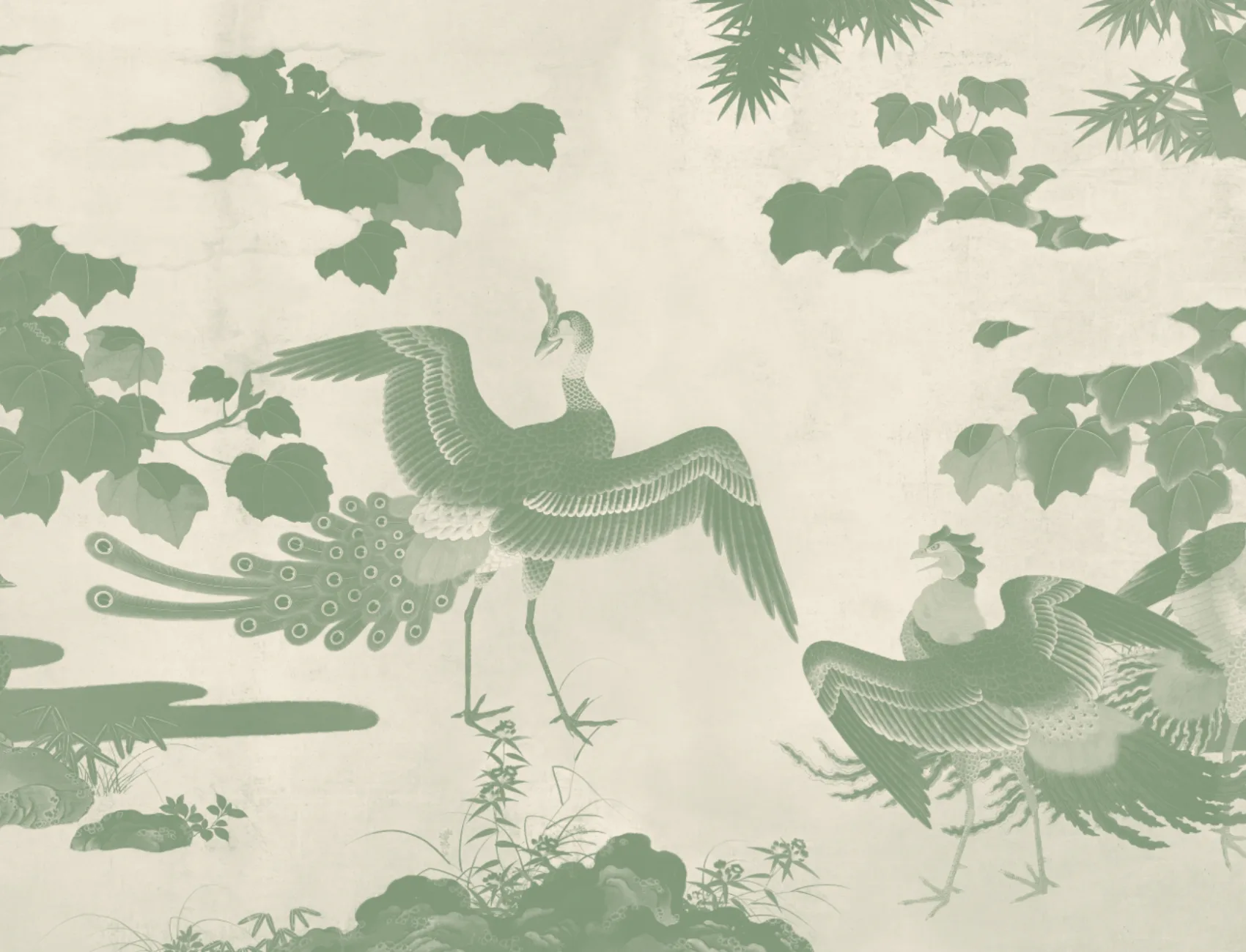 Papier peint panoramique du paon japonais illustré en vert