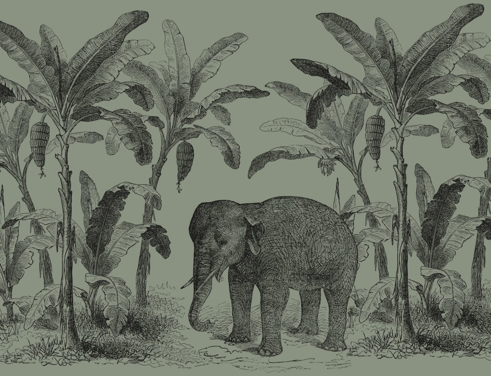 Panoramique Éléphant en Vert Foncé