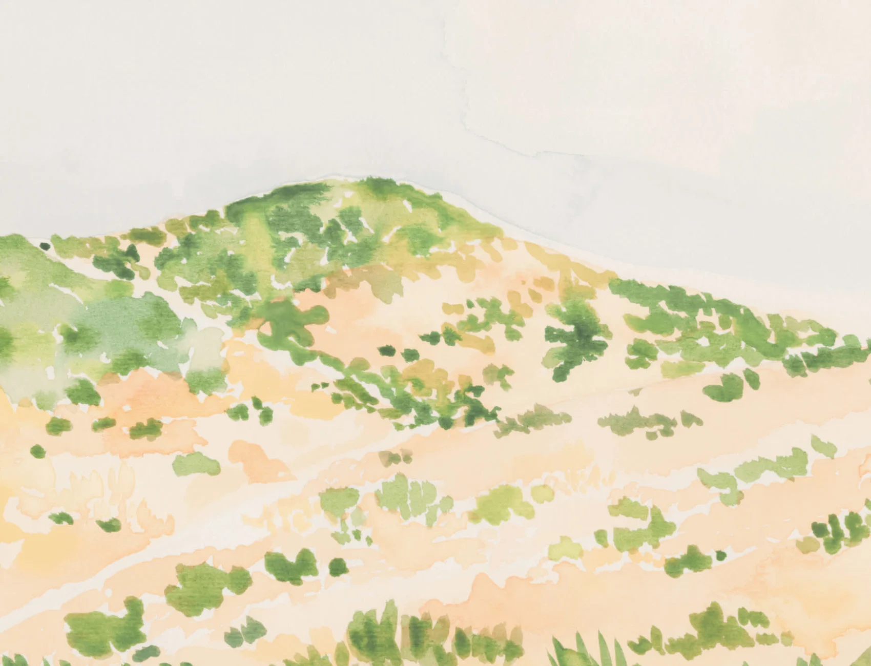 Watercolor Desert Landscape Wallpaper Mural