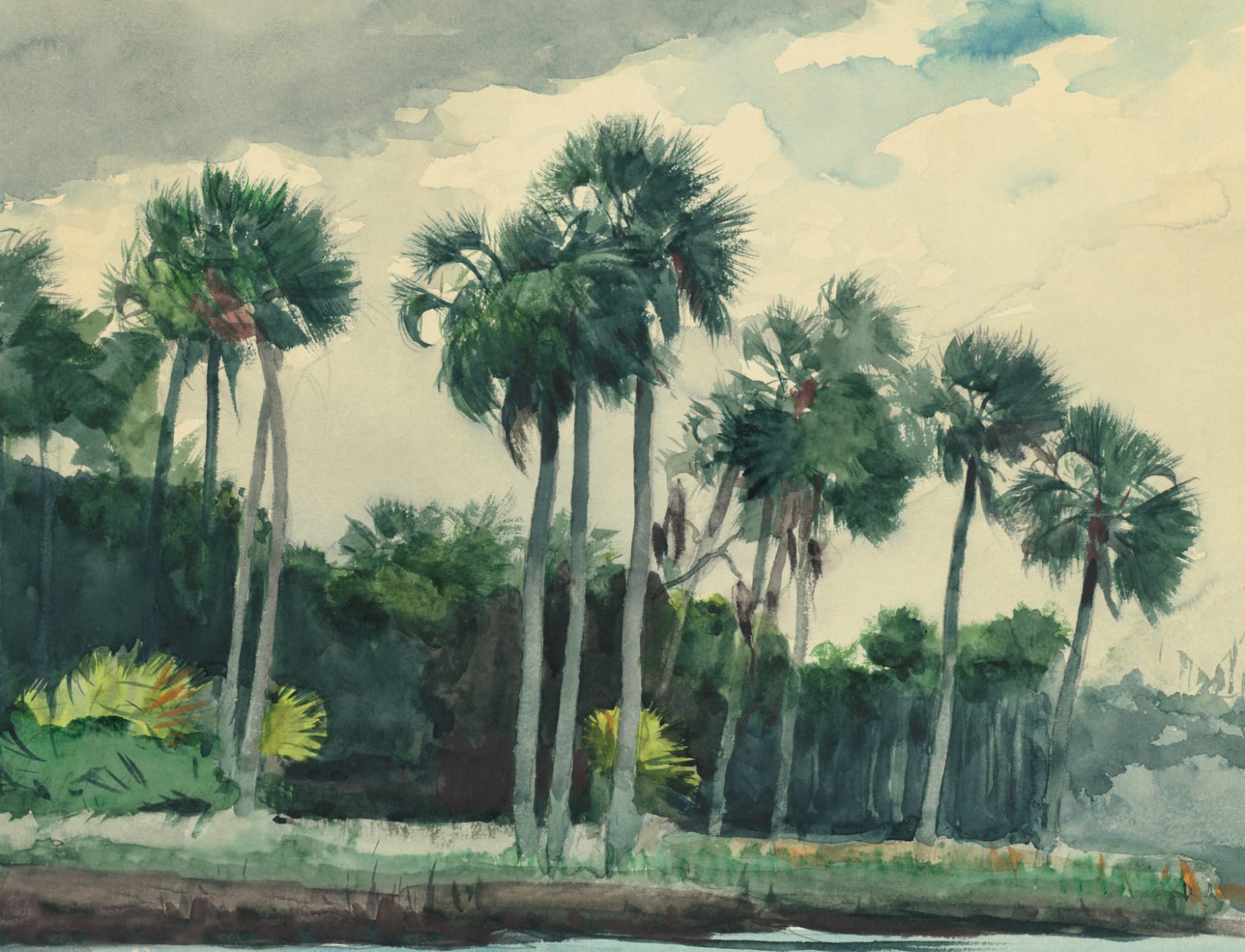 Chusan Classic Acuarela Palm Mural de Winslow Homer
