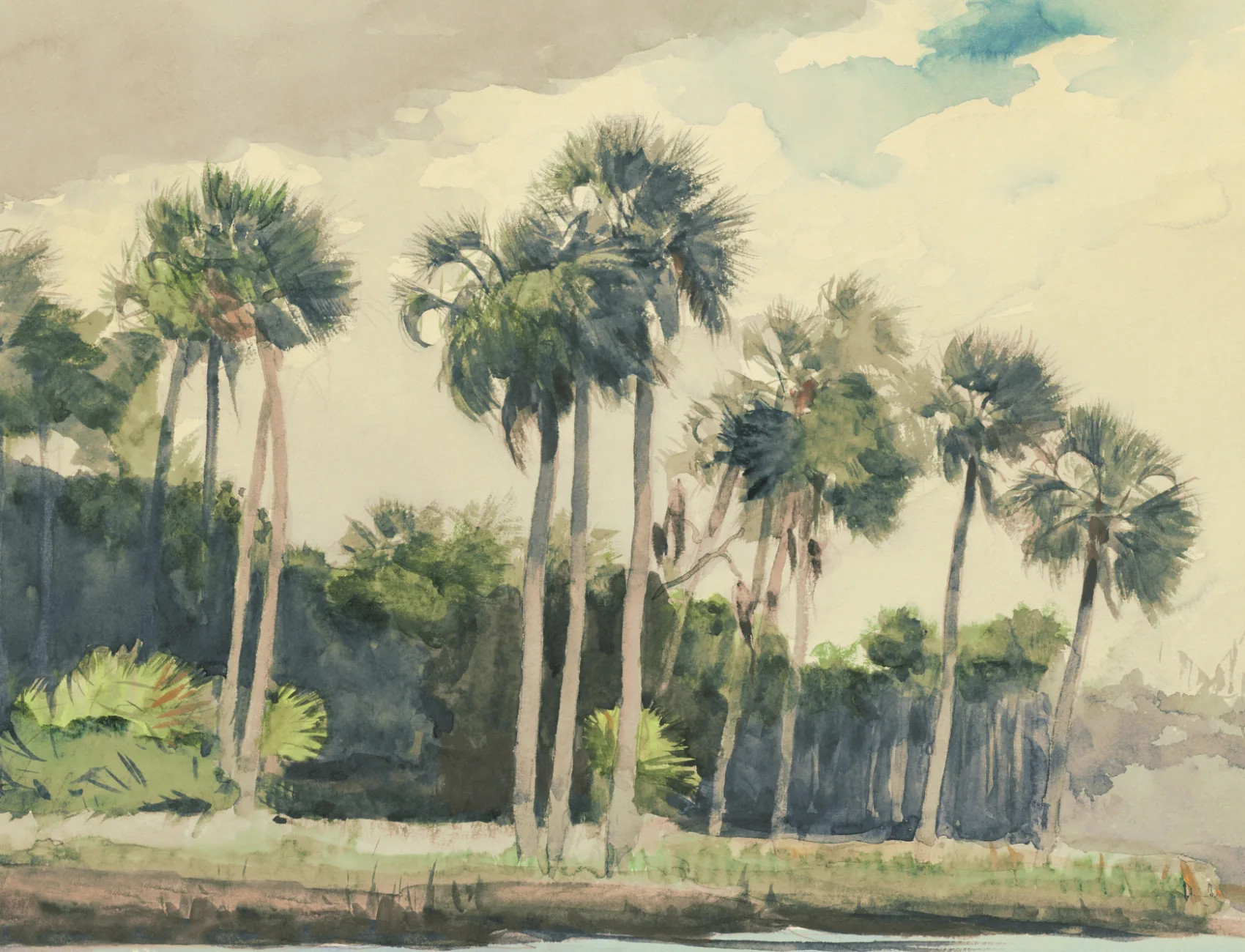 Chusan Pastell akvarell Palm Mural-tapeter av Winslow Homer