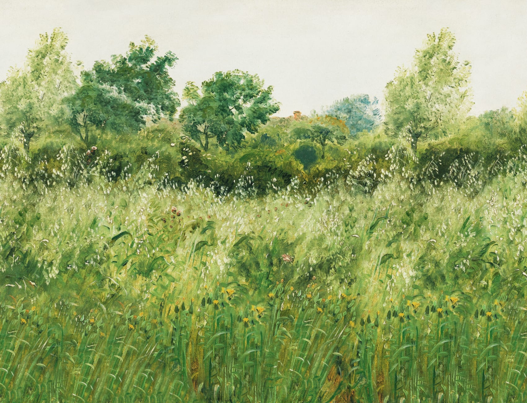 Green Summer Meadow Oil Painting Mural