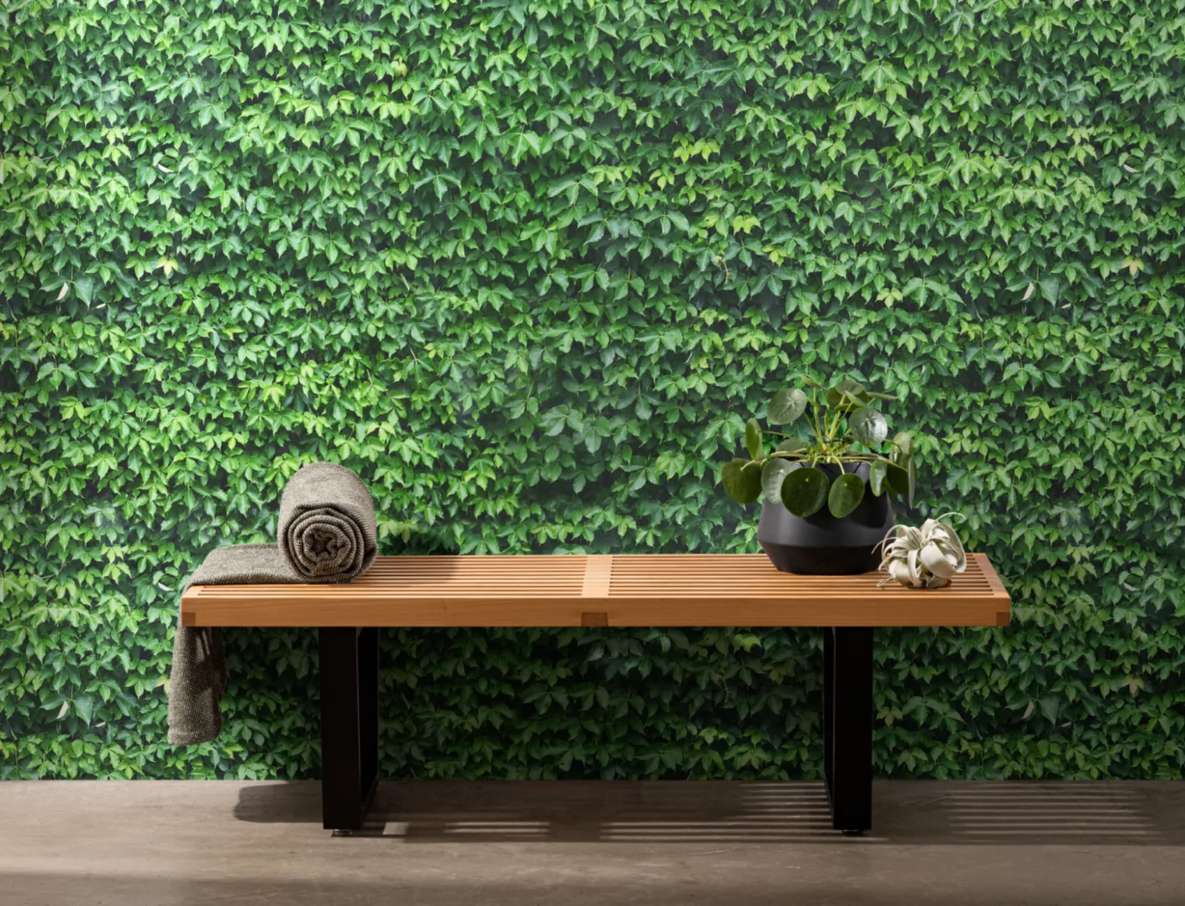 Wall of Green Ivy Wallpaper Mural