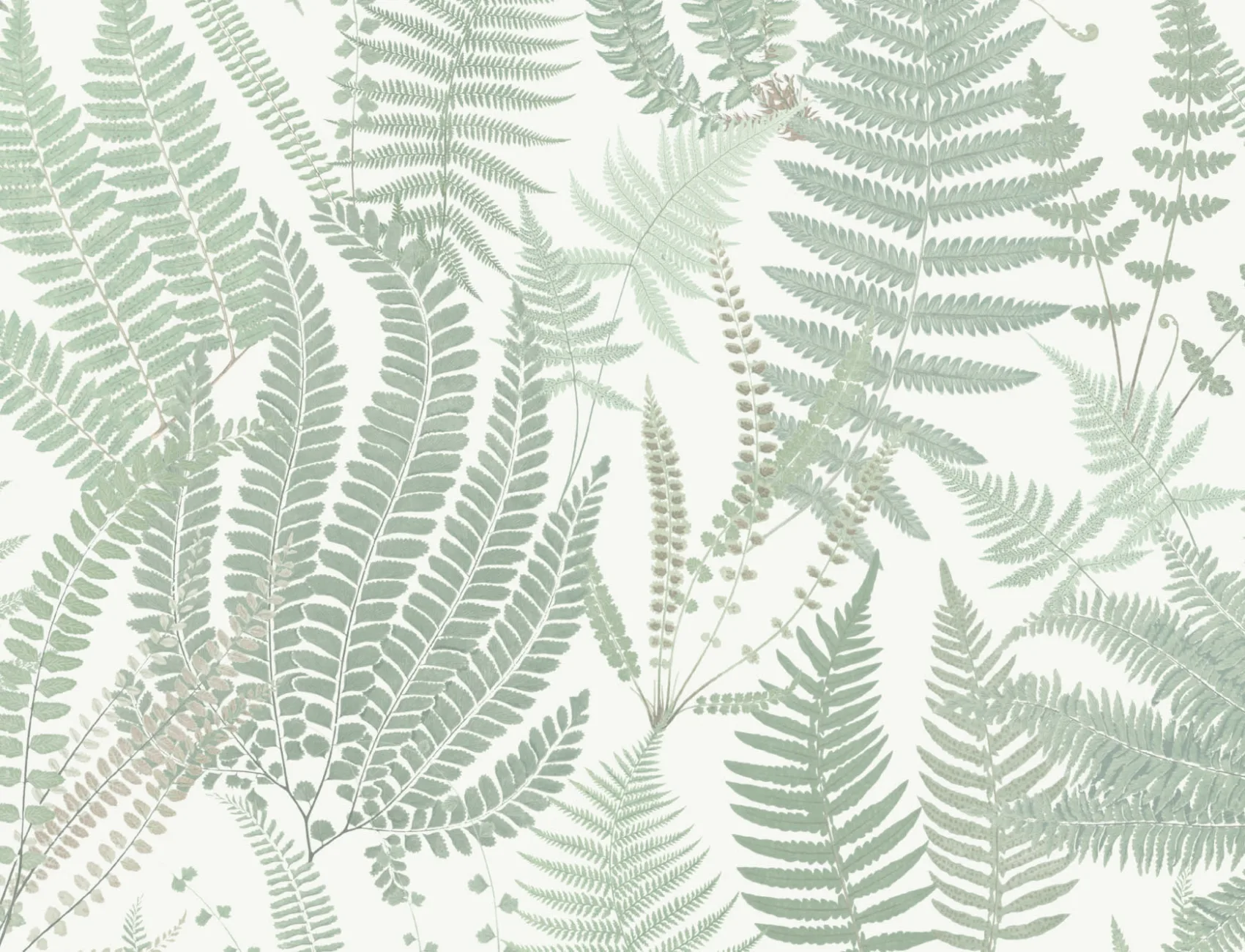 Green Vintage Fern Leaf Illustrations Repeat Pattern Wallpaper
