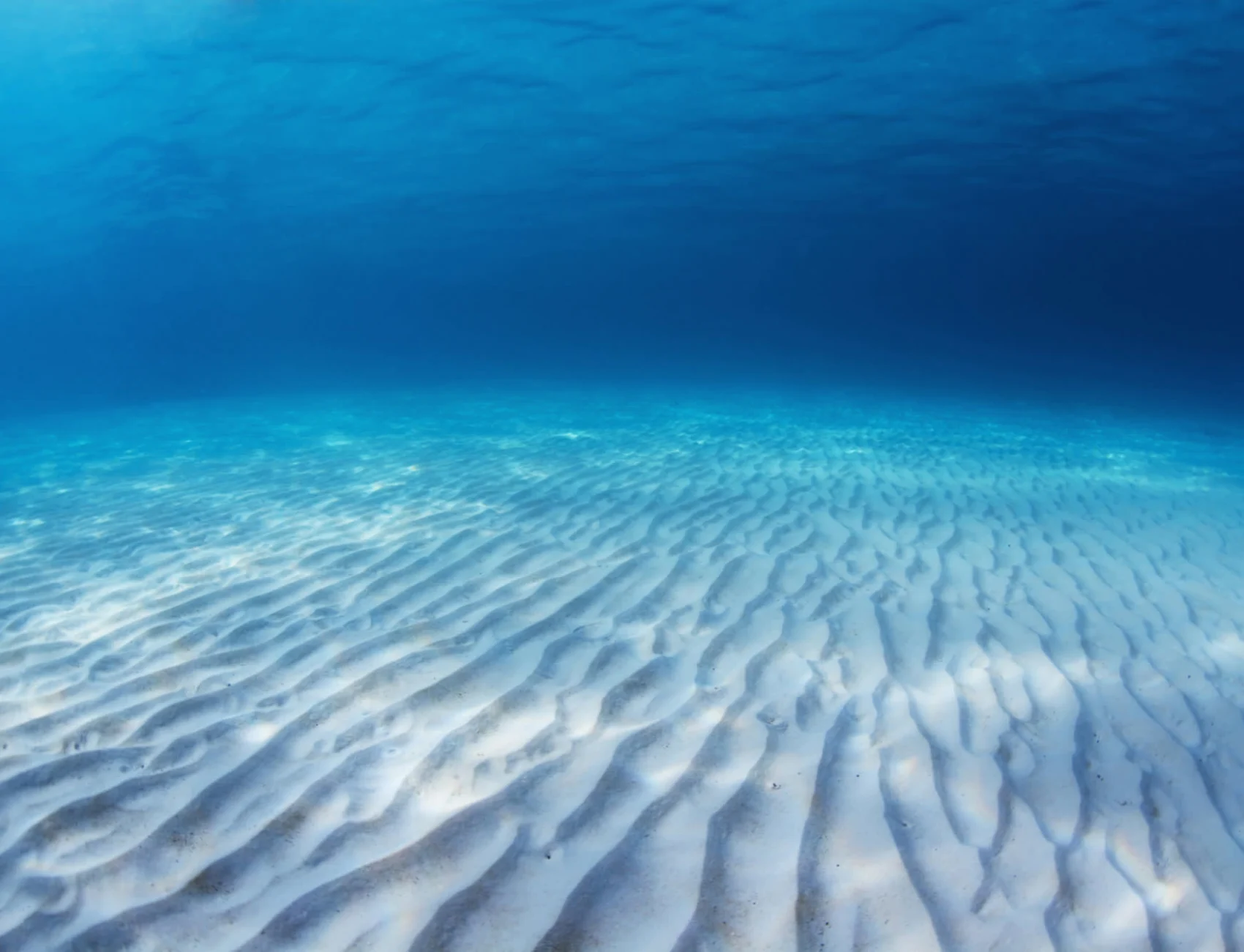 Ocean Shallows Wallpaper Mural