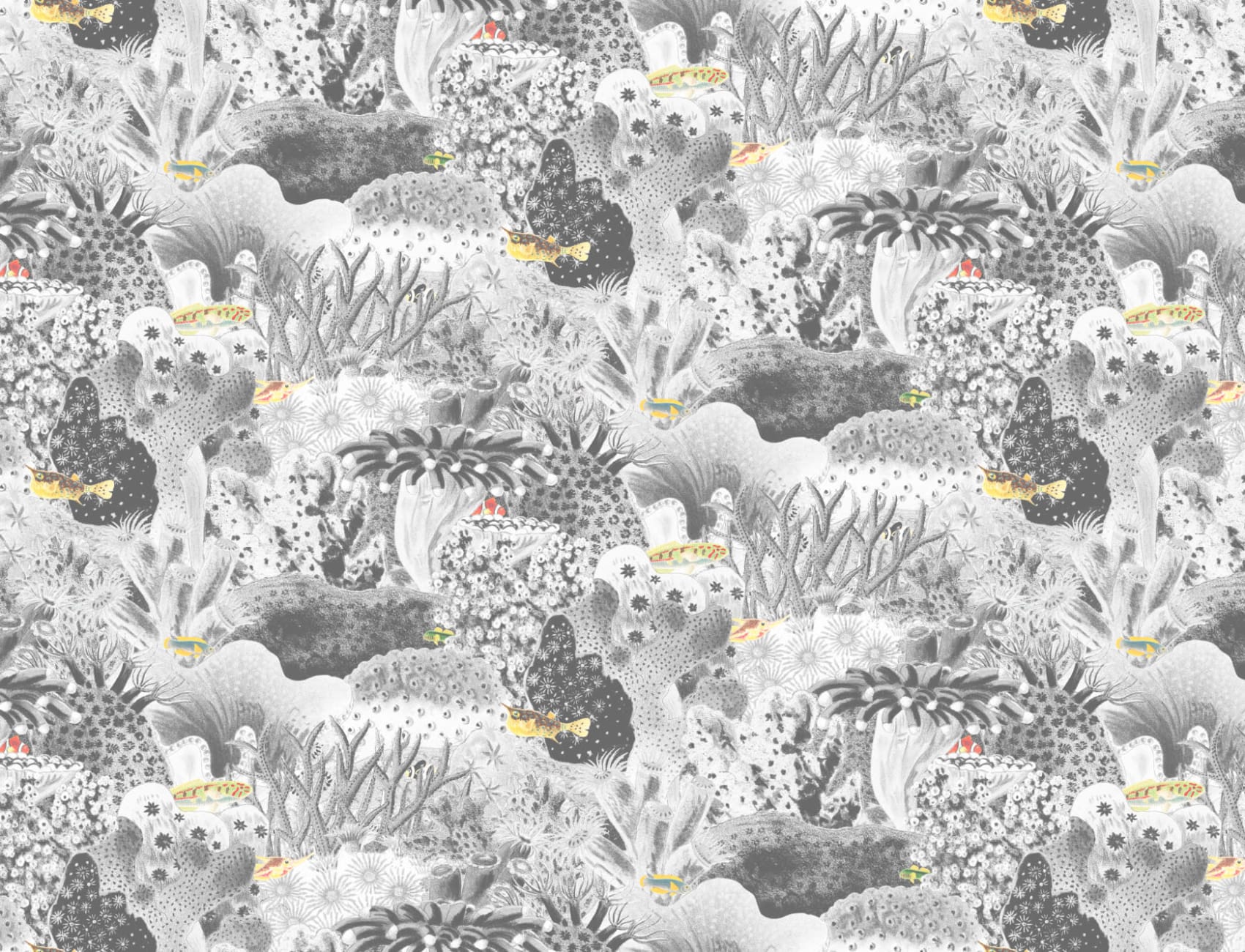 Gray Vintage Illustrations Marine Plants Mural