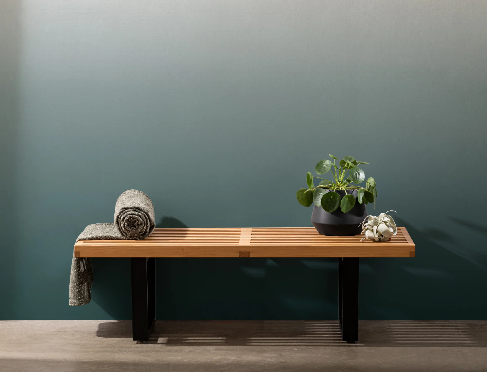 Fototapeta Forest Green Ombre