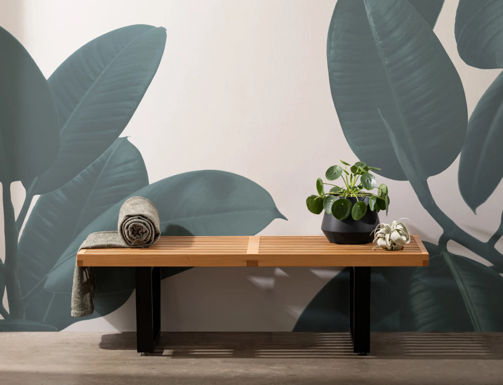 Rubber Plant Wallpaper Mural