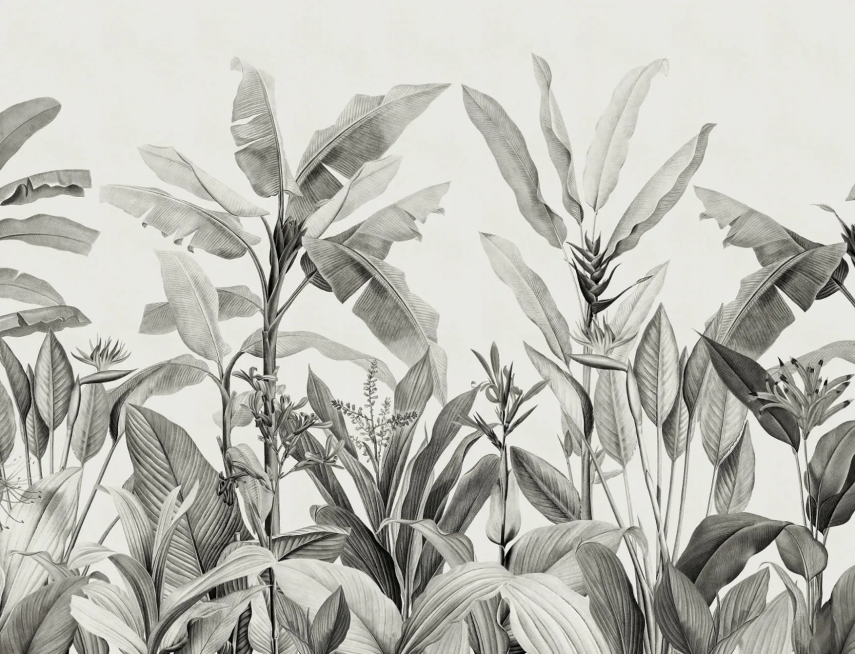 Grayscale Vintage Tropical Plants Wallpaper Mural