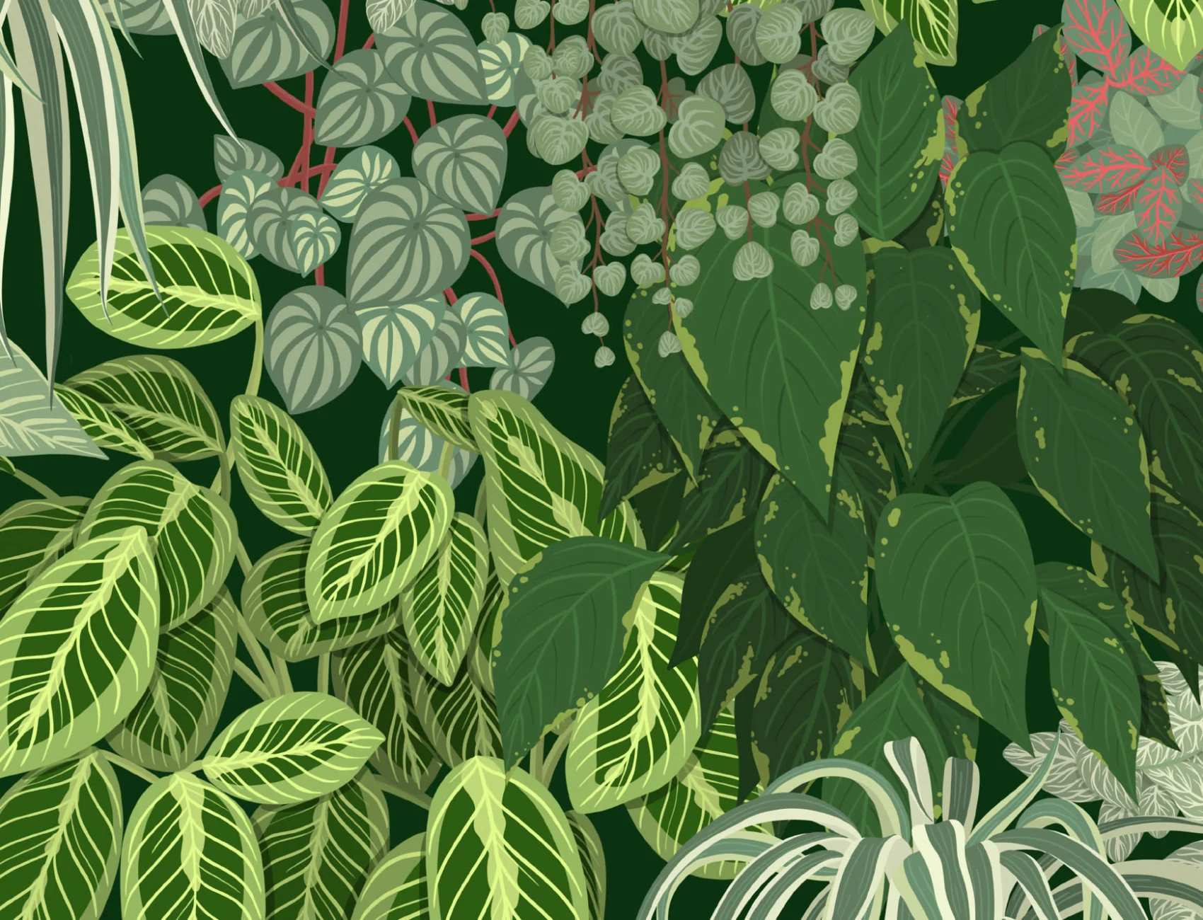 Papel Pintado Jardín Vertical Verde con Motivo de Plantas de Interior