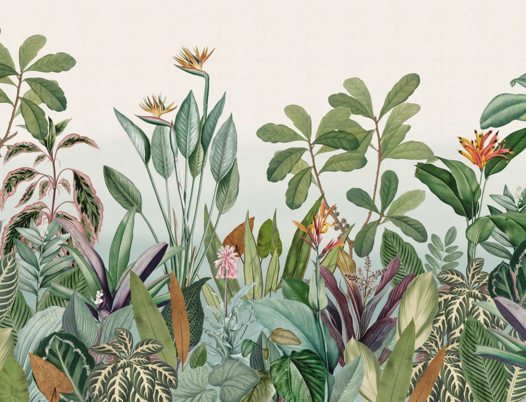 Plantas Tropicais Paisagem da Selva Papel de Parede Mural