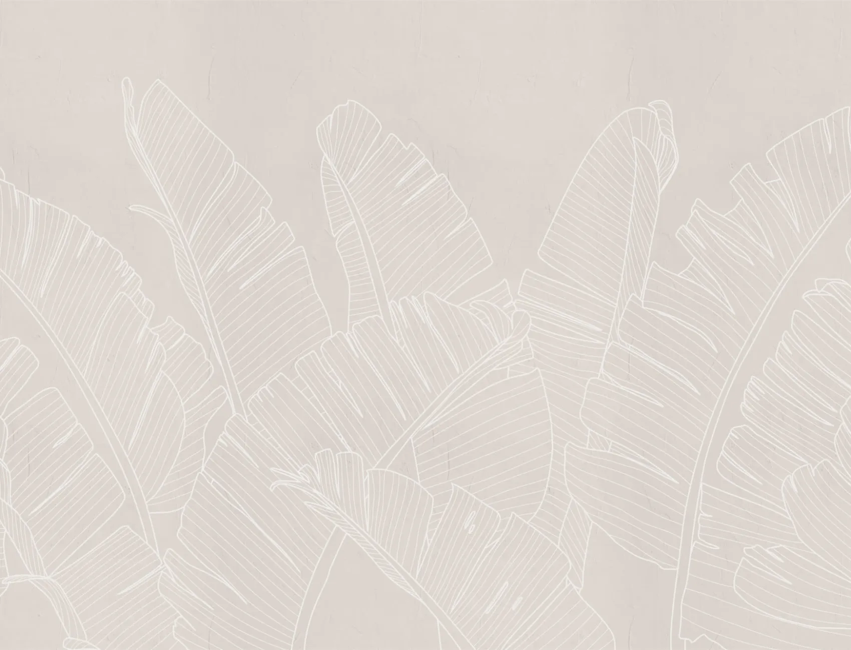 Neutral Pink Large Banana Leaf Wallpaper Mural