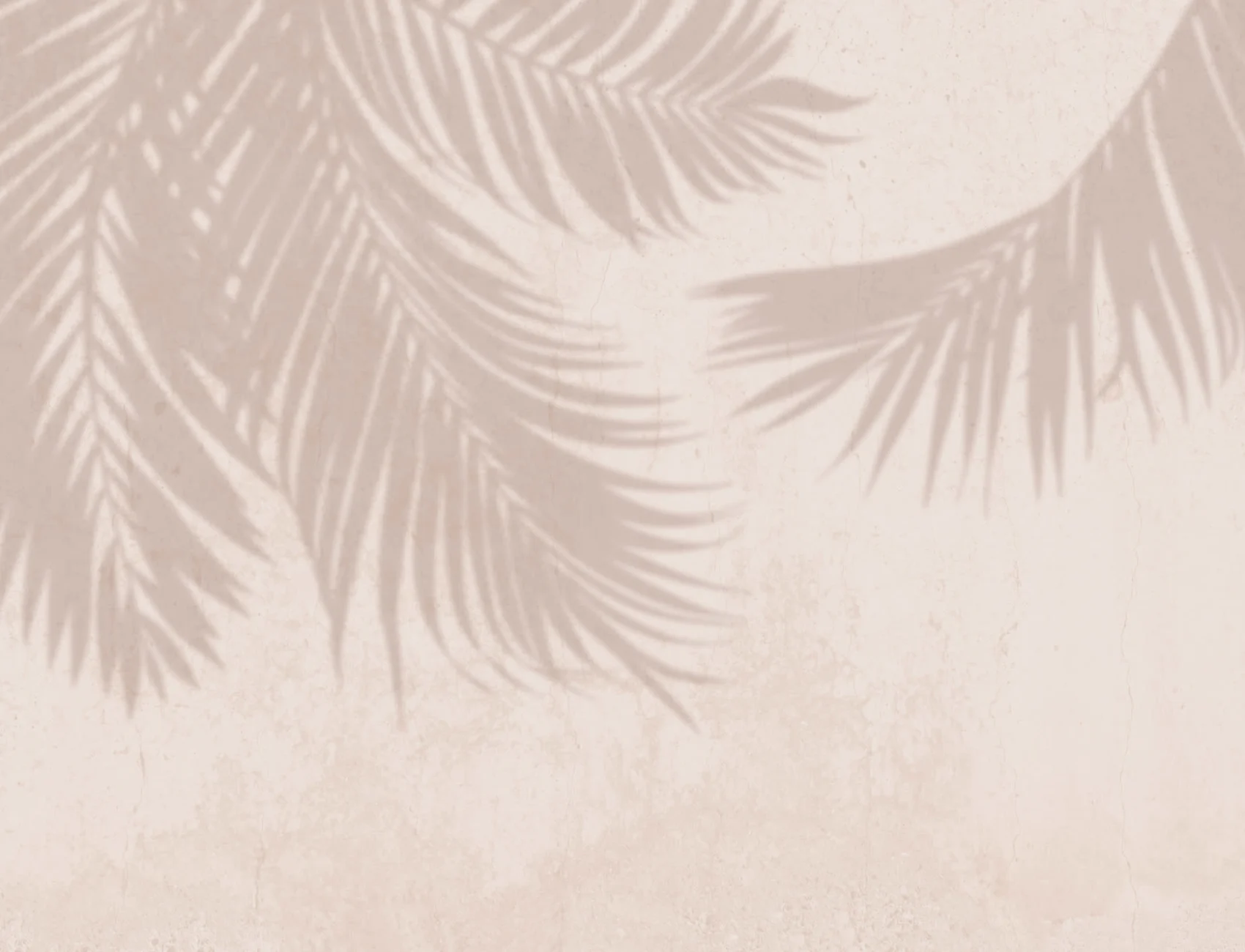 Neutral Palm Leaf Shadow Concrete Effect Wallpaper Mural