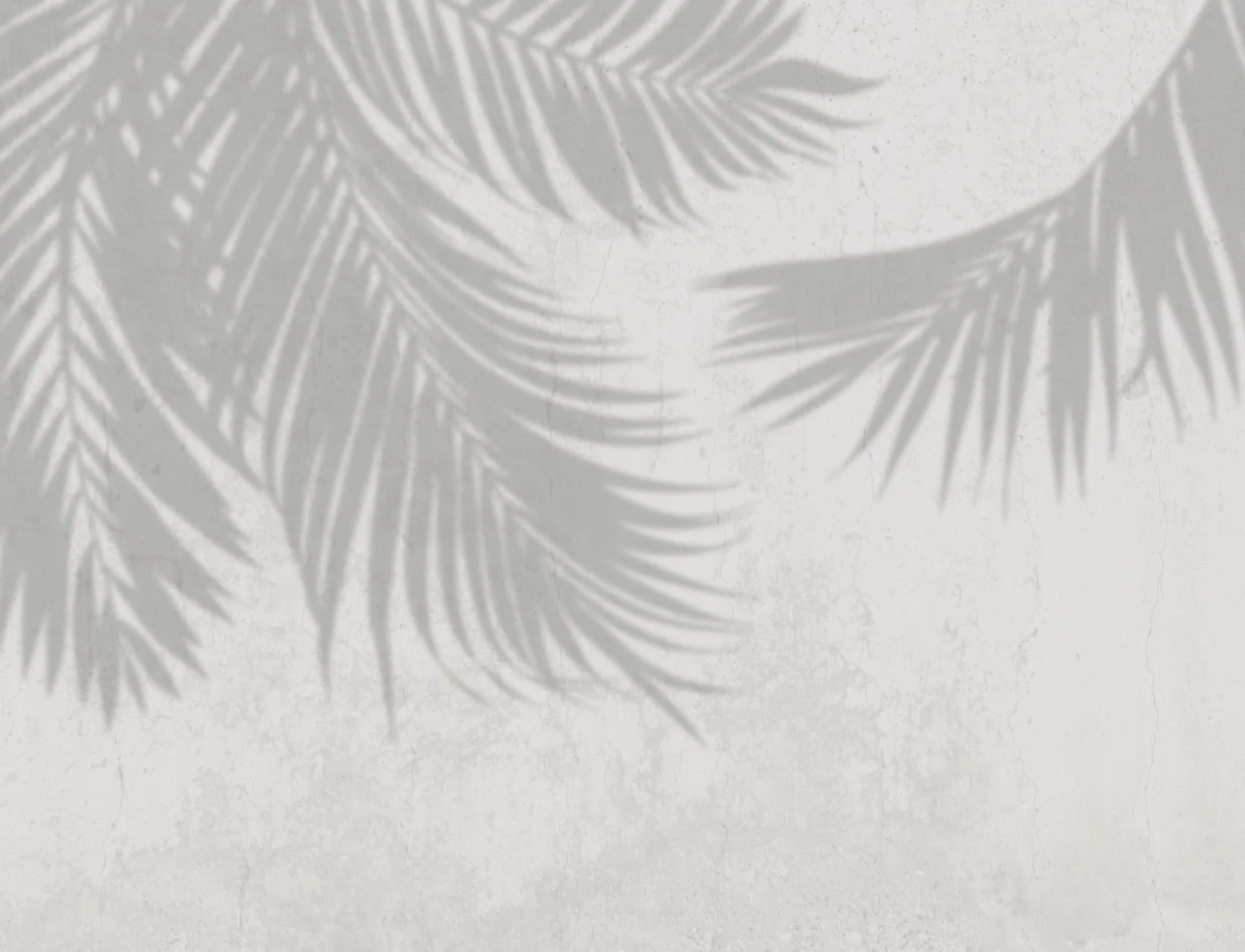 Gray Palm Leaf Shadow Concrete Effect Wallpaper Mural