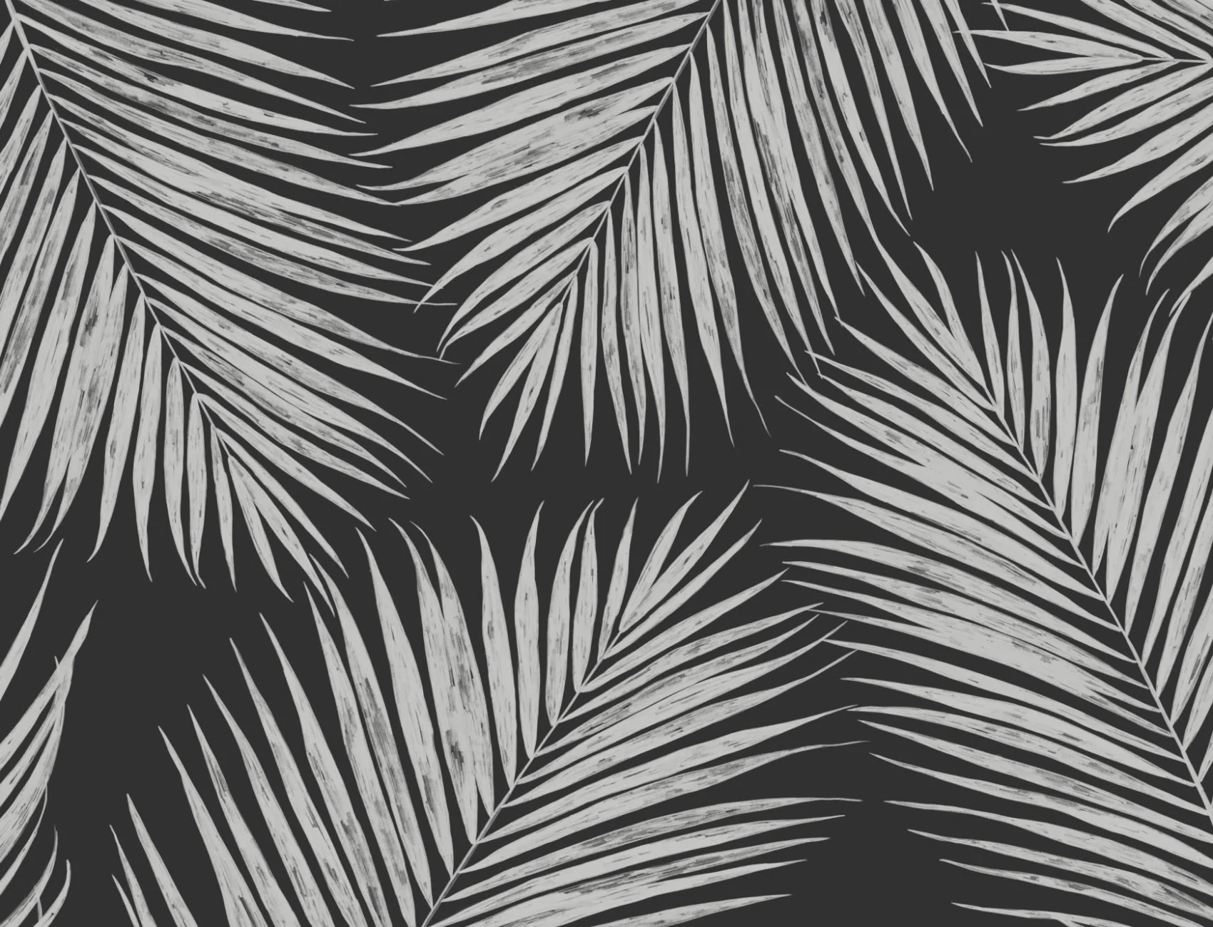 Mustavalkoinen kuvitettu trooppinen Palm Leaf kuvatapetti