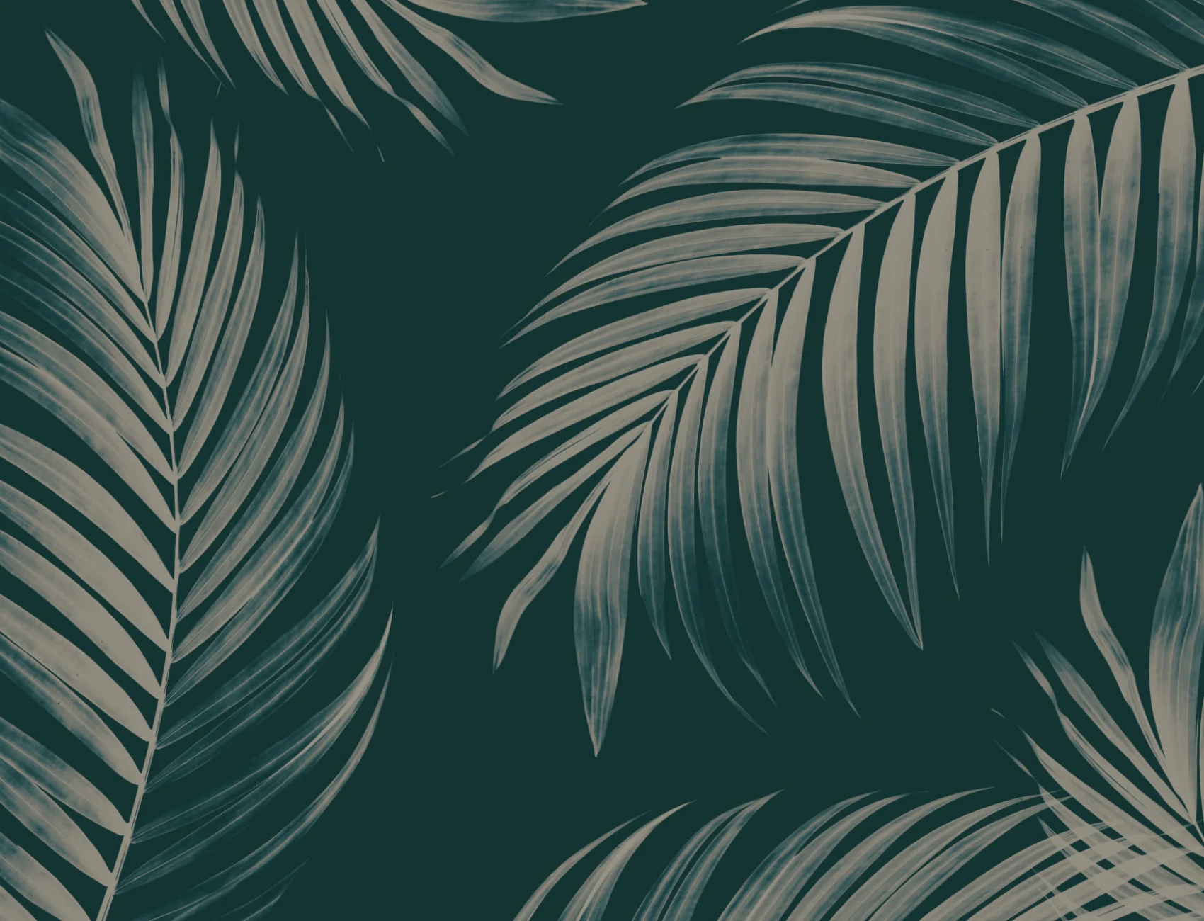 Dark Palm Leaf Wallpaper Mural