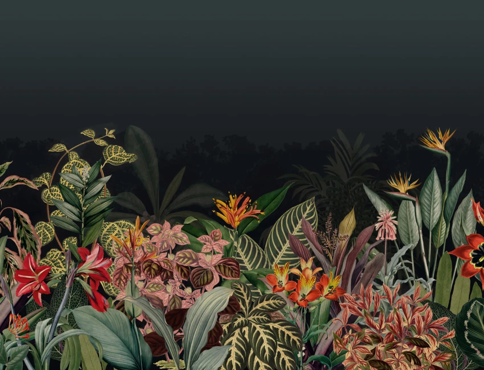 Vintage Tropische Botanische Donkergroene Muurschildering