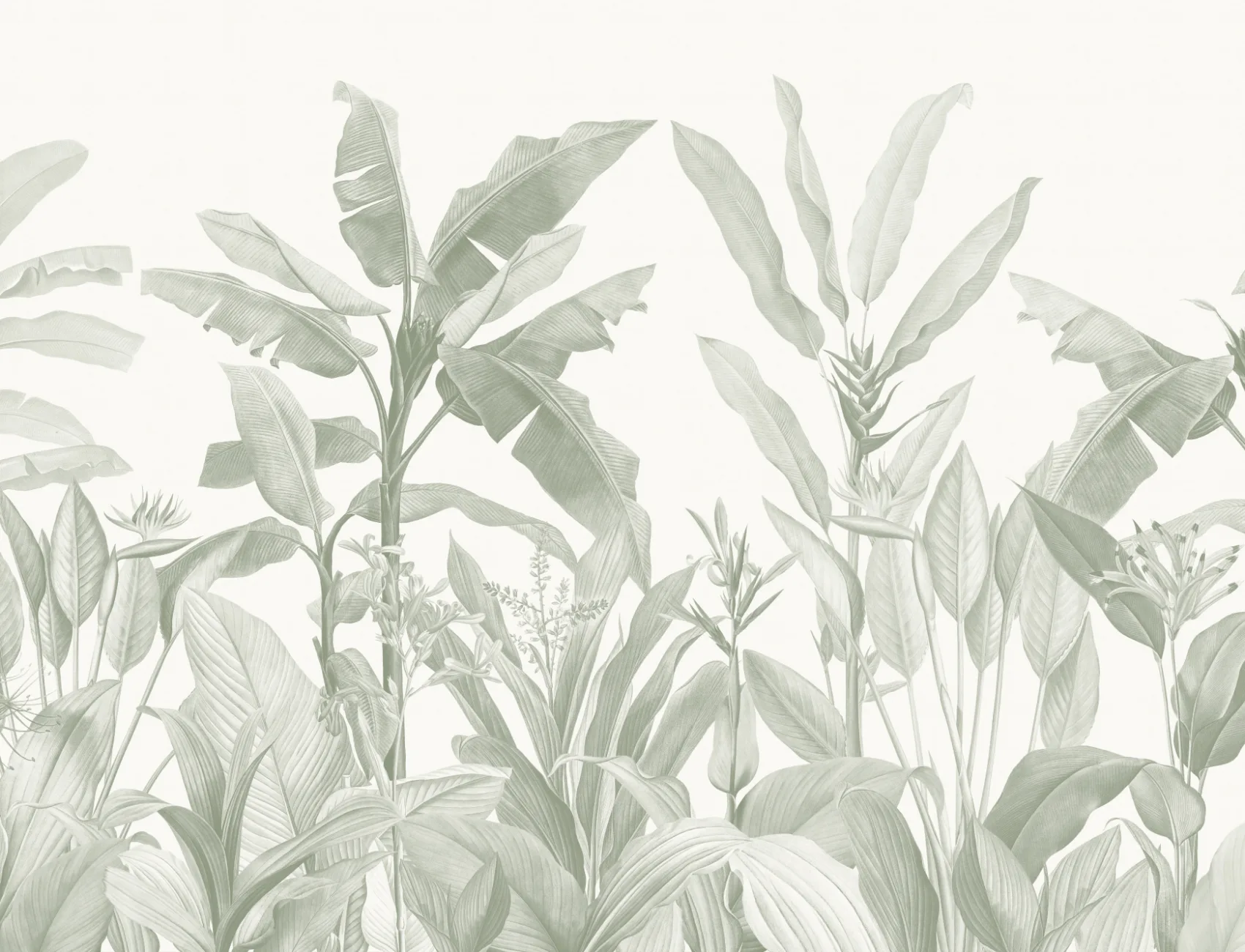 Sage Green Vintage Tropical Mural