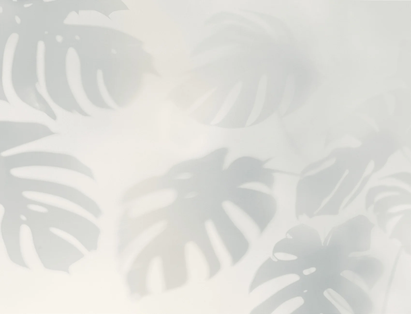 Blue Monstera Leaf Shadow Mural
