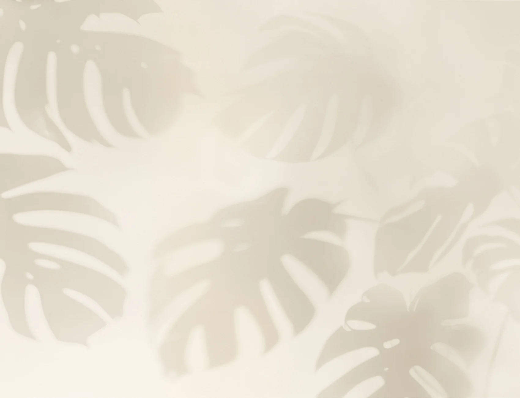 Mural de sombras de folhas de Monstera neutro