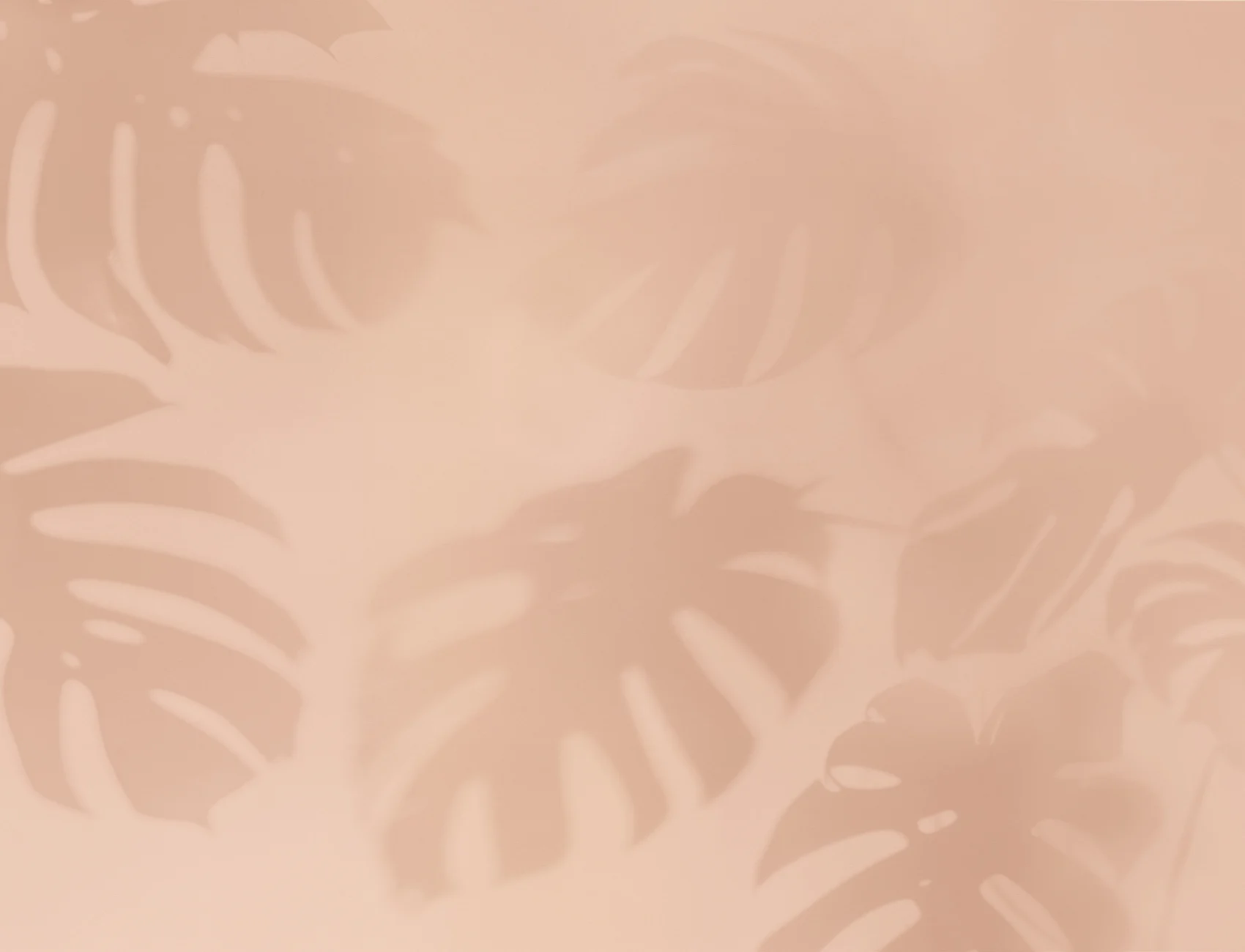 Rosa Monstera Blad Skygge tapet
