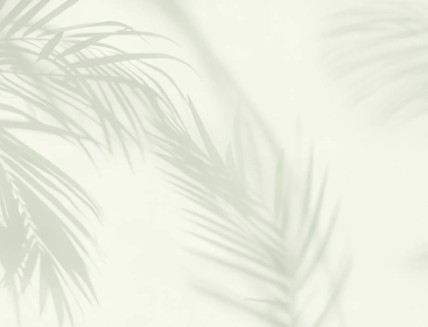 Ljusgrön Palm Leaf Shadow Mural-tapeter