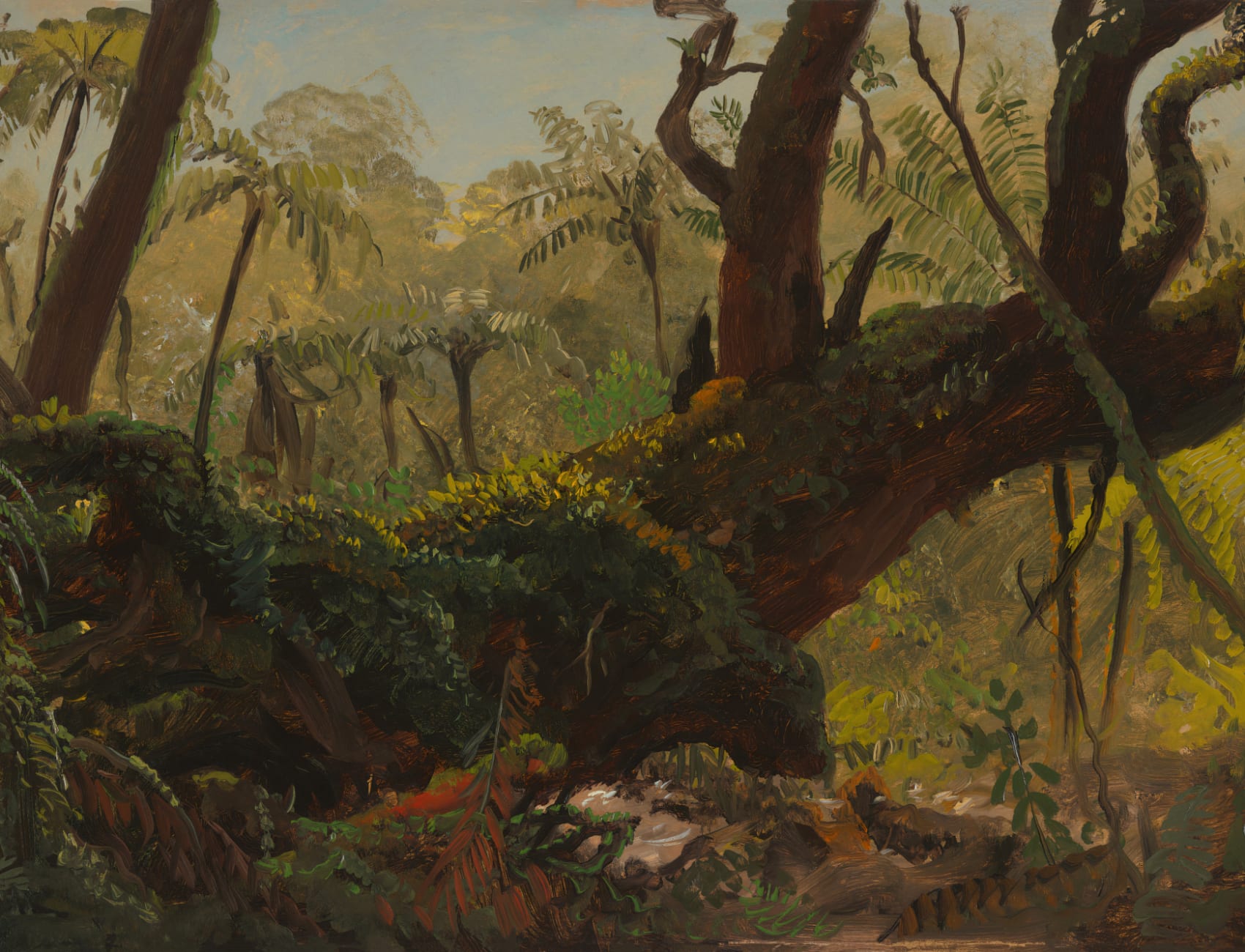 Mossy Tropische Jungle Olieverfschildering Muurschildering