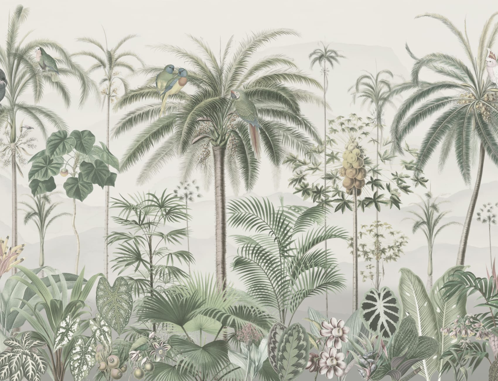 Klassisk illustrerad tropisk botanisk mural-tapeter