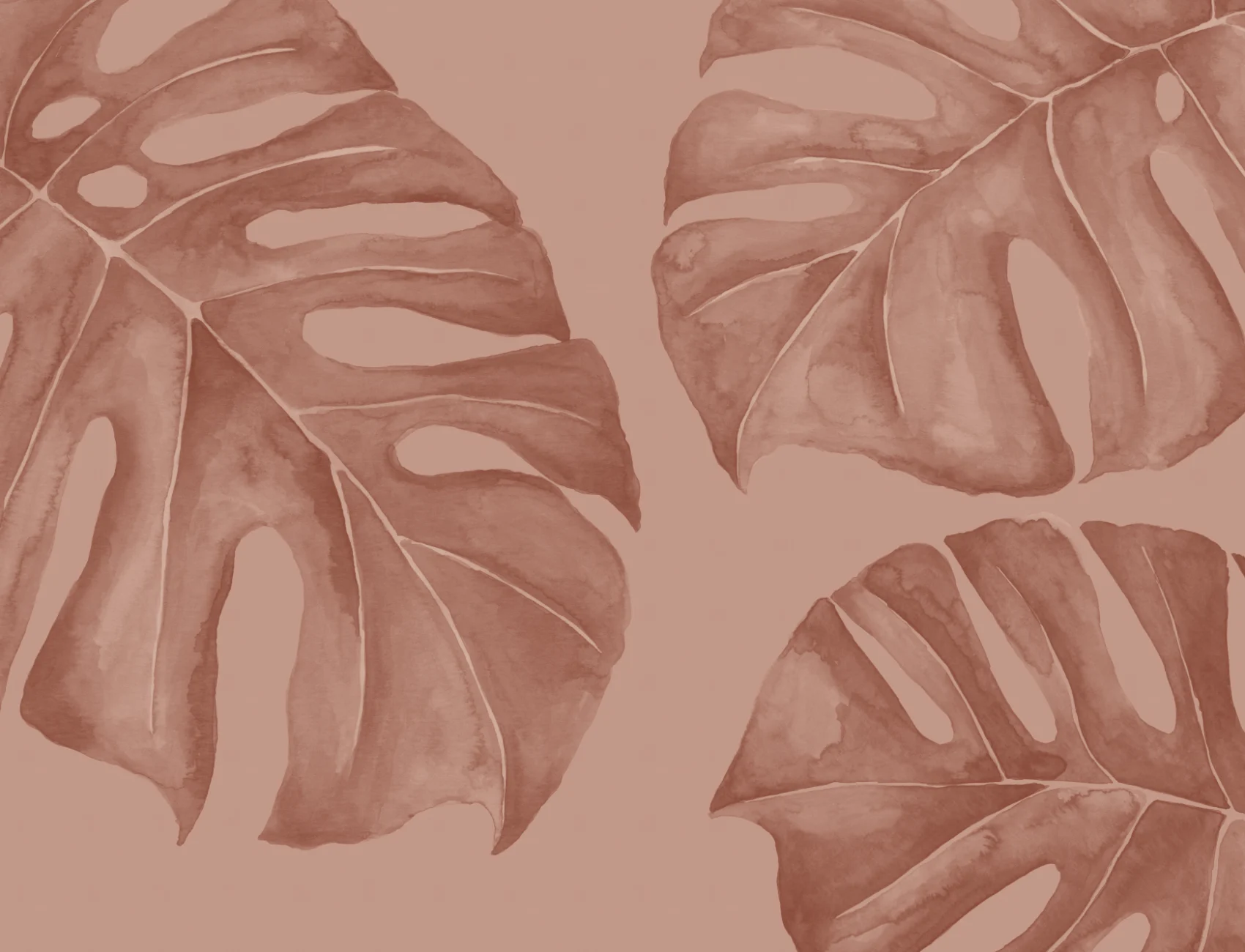 Terracotta akvarel Monstera blad fototapet