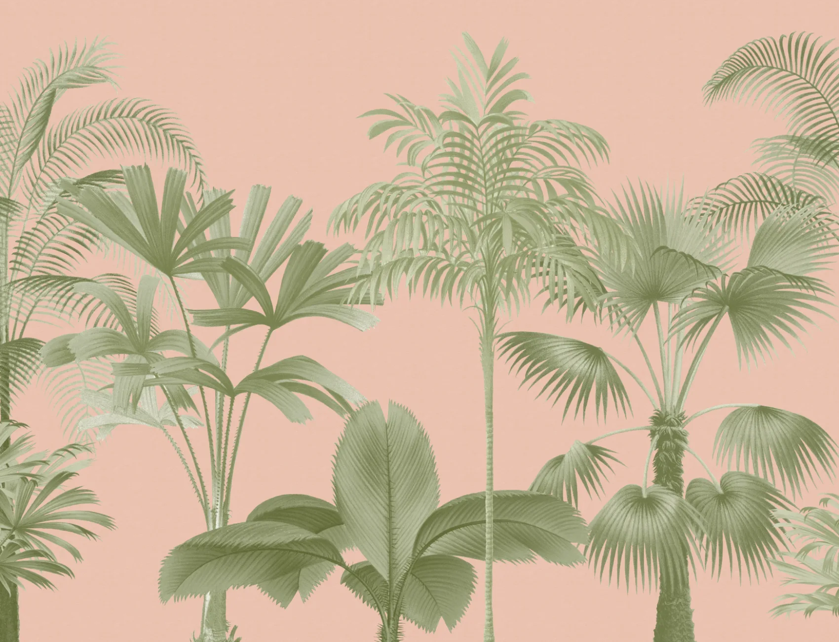Pink Vintage Tropical Palm Tree Mural
