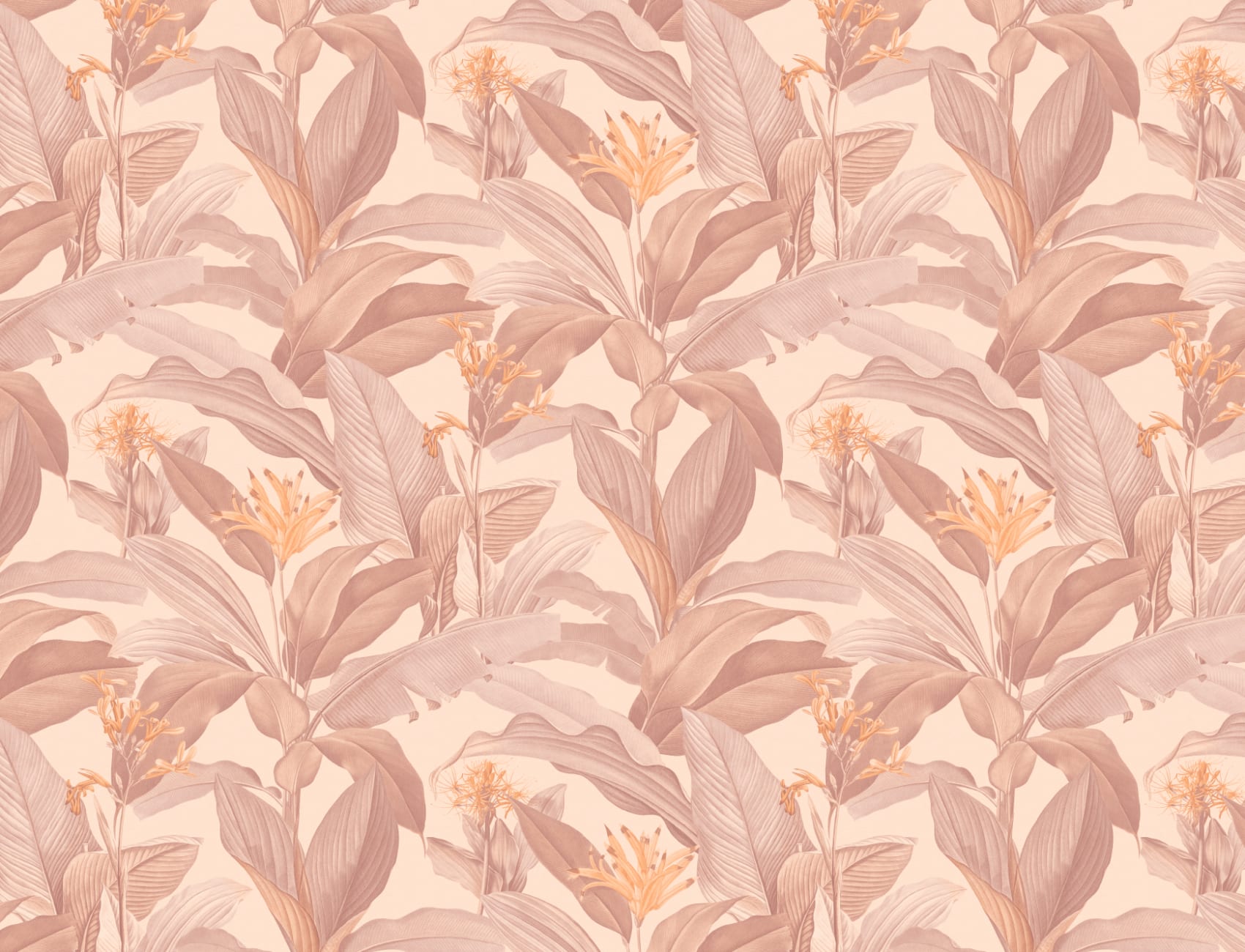 Papier peint botanique vintage Botanist Blush dans des tons floraux roses doux