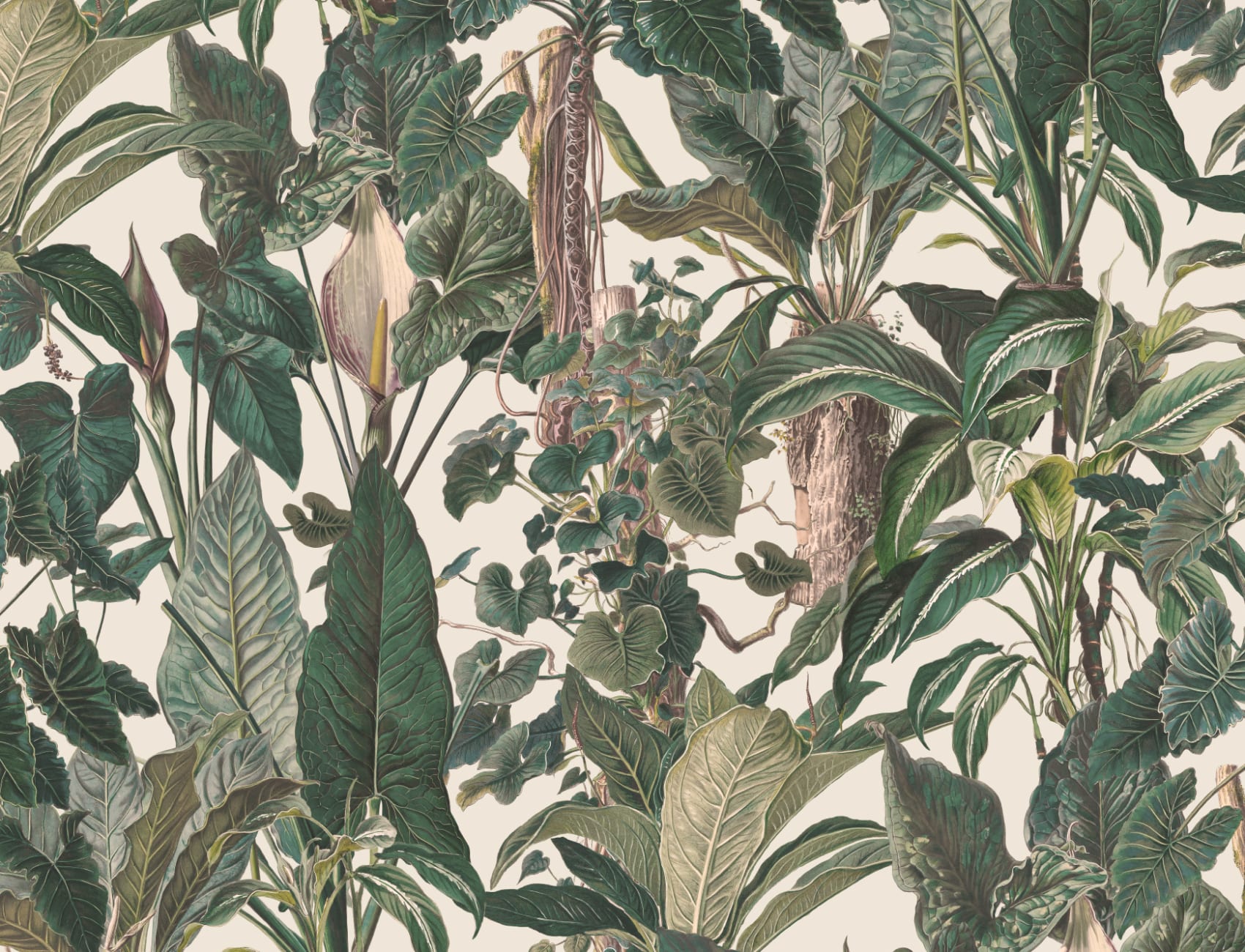 Classic Tropical Illustrated Leafy Plants Mural