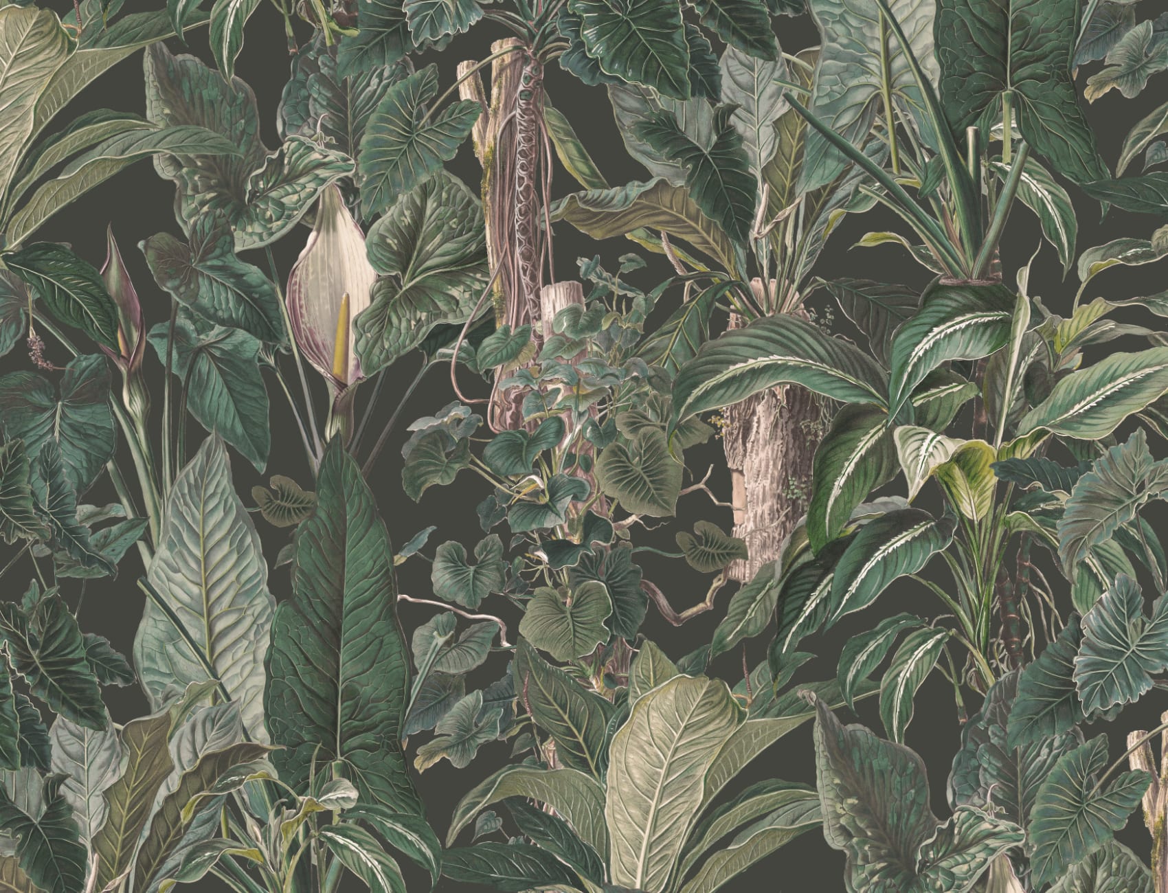 Papier peint panoramique vert tropical illustré Plantes à feuilles