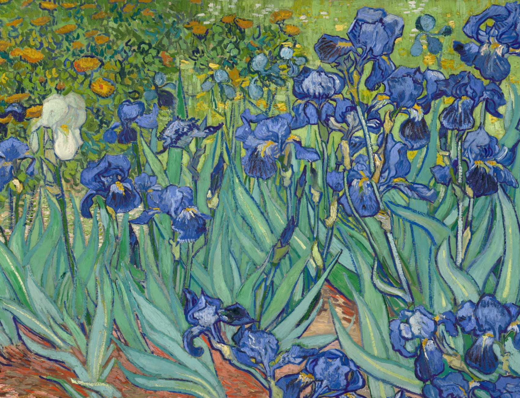 Papier Peint Panoramique Iris de Van Gogh