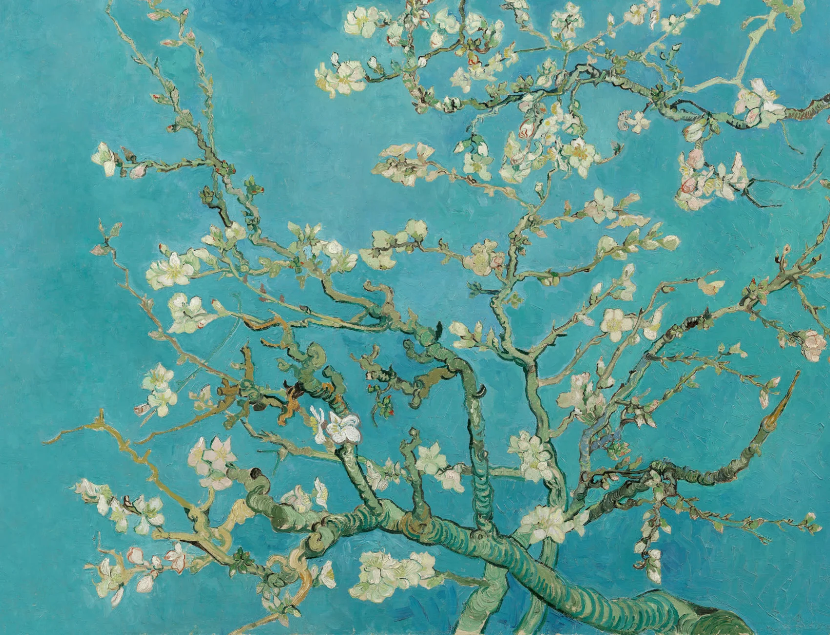Almond Blossom by Vincent Van Gogh Wallpaper Mural